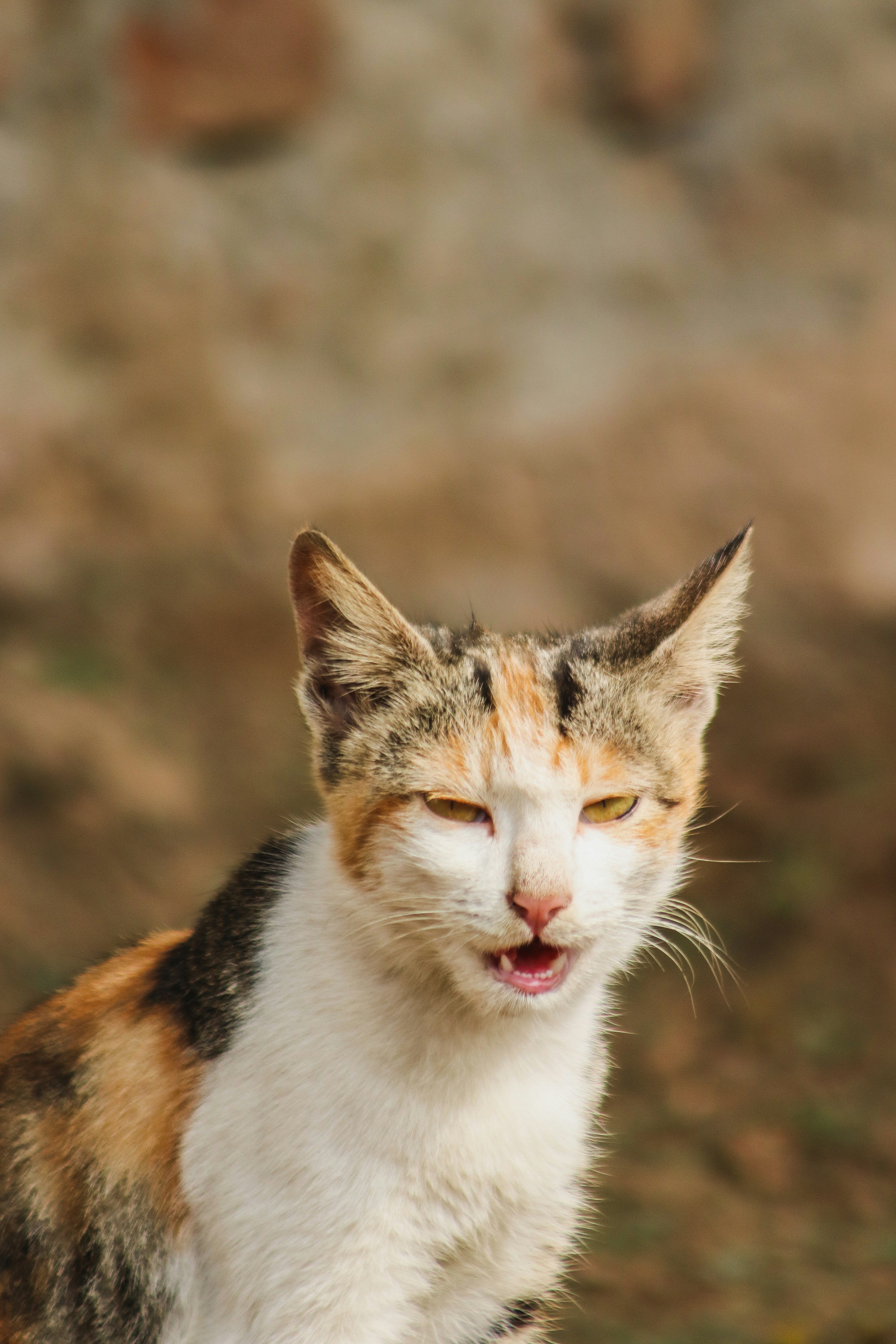 Photo by drphotographer152