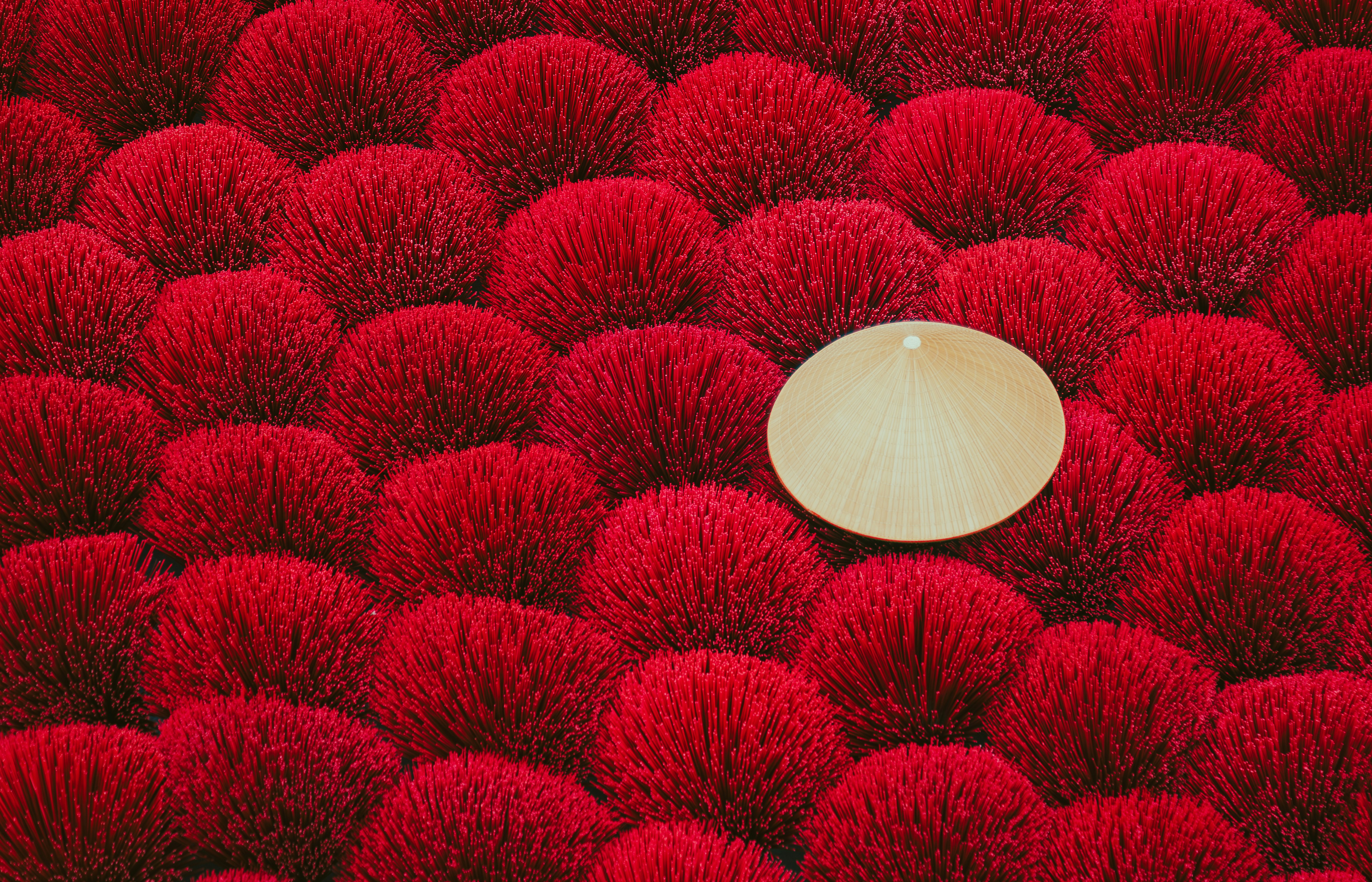 빨간 들판 한가운데에 앉아있는 흰색 물체