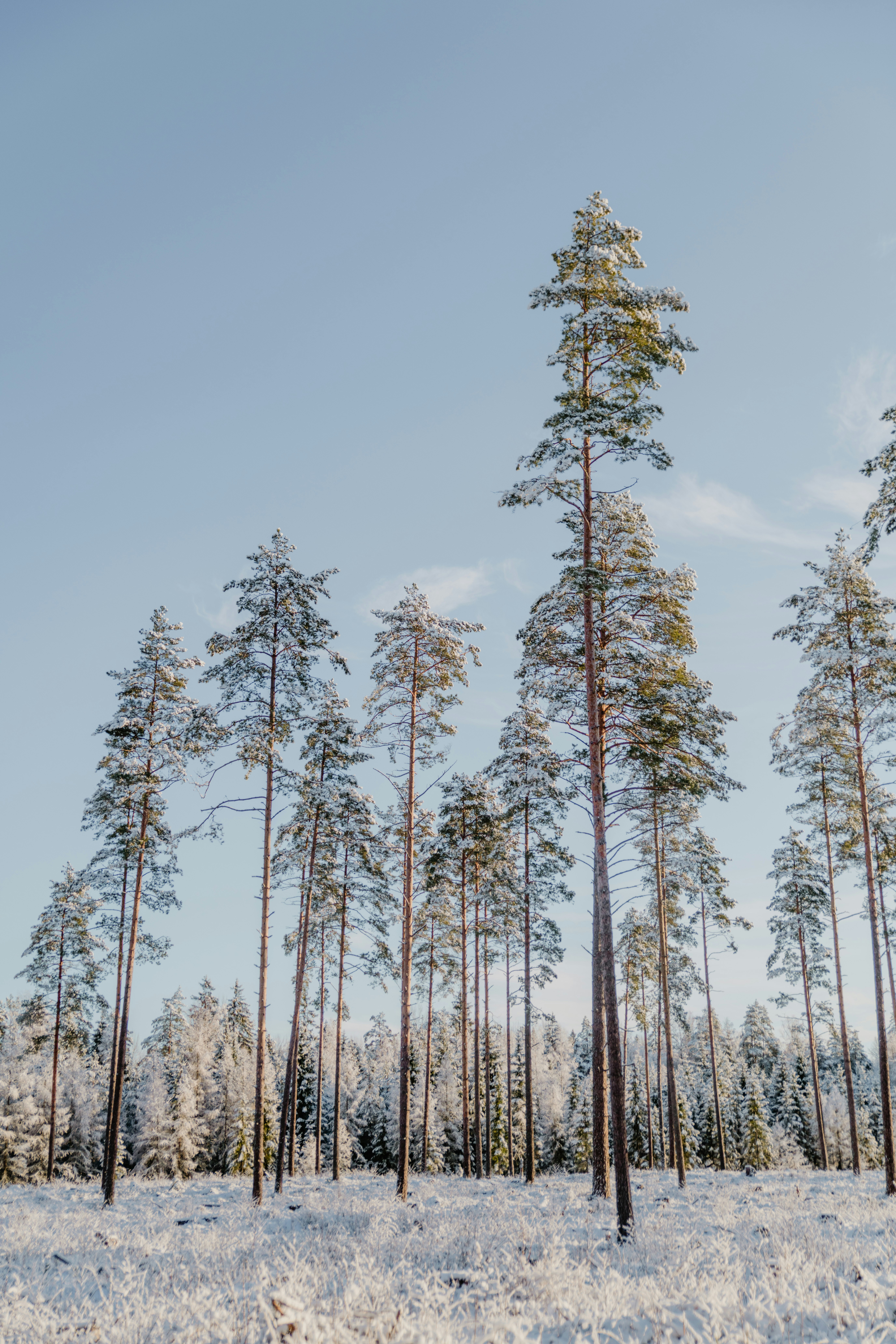 Photo by anitaaustvika