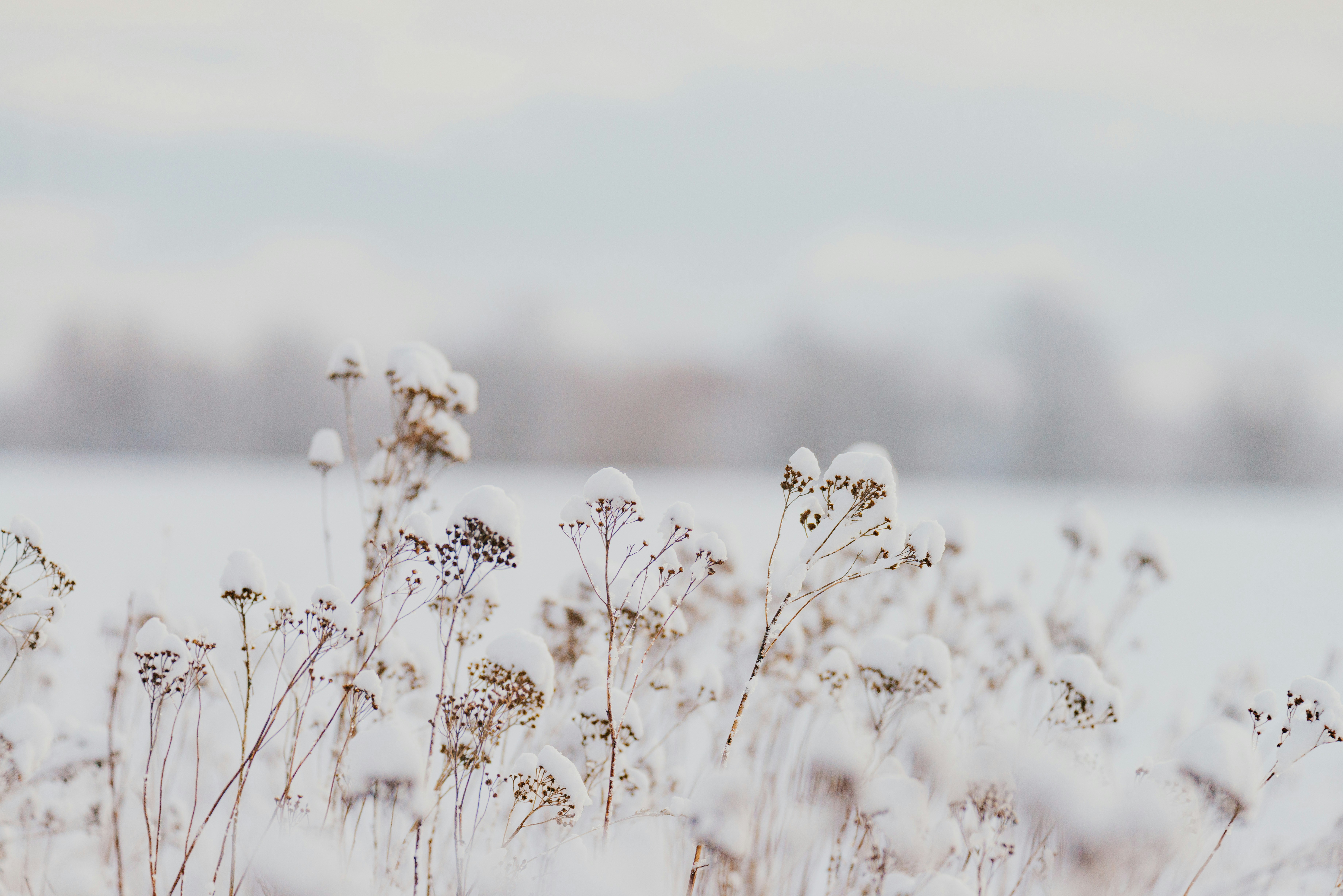 Cnfactory Replica Footwear Nov Checkout Details!