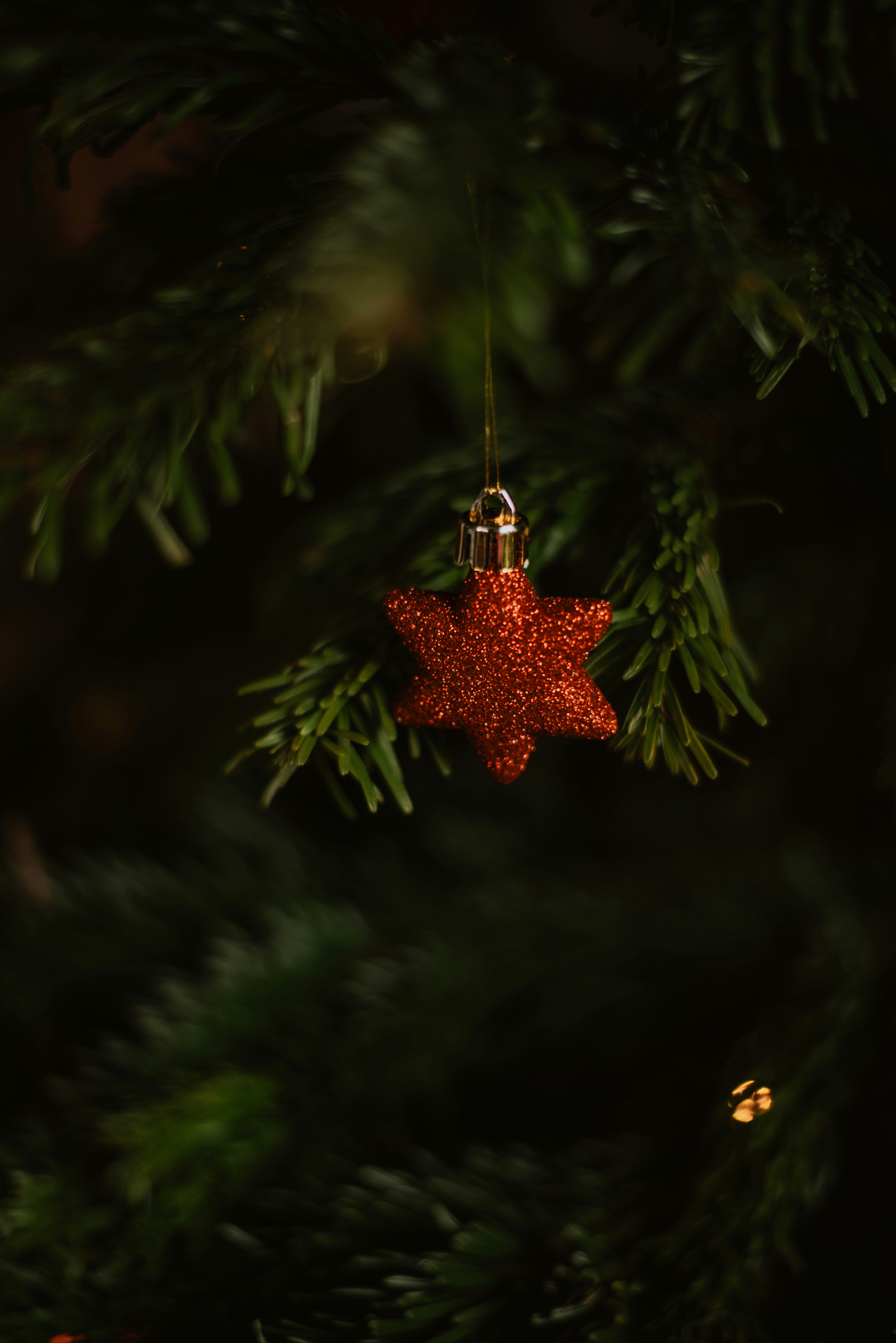 Un ornement d’étoile rouge suspendu à un arbre de Noël