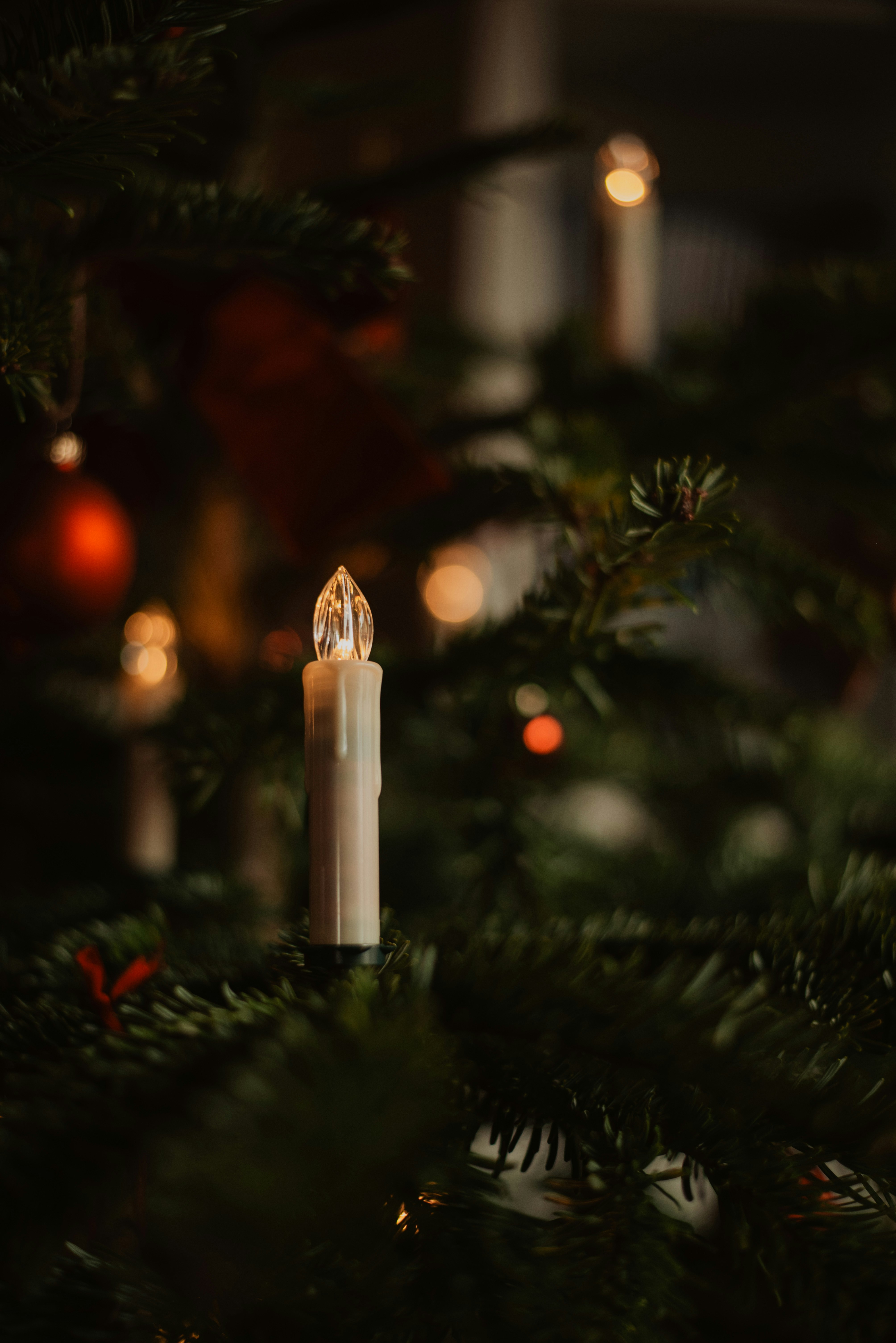 Photo by krykhitka_photo