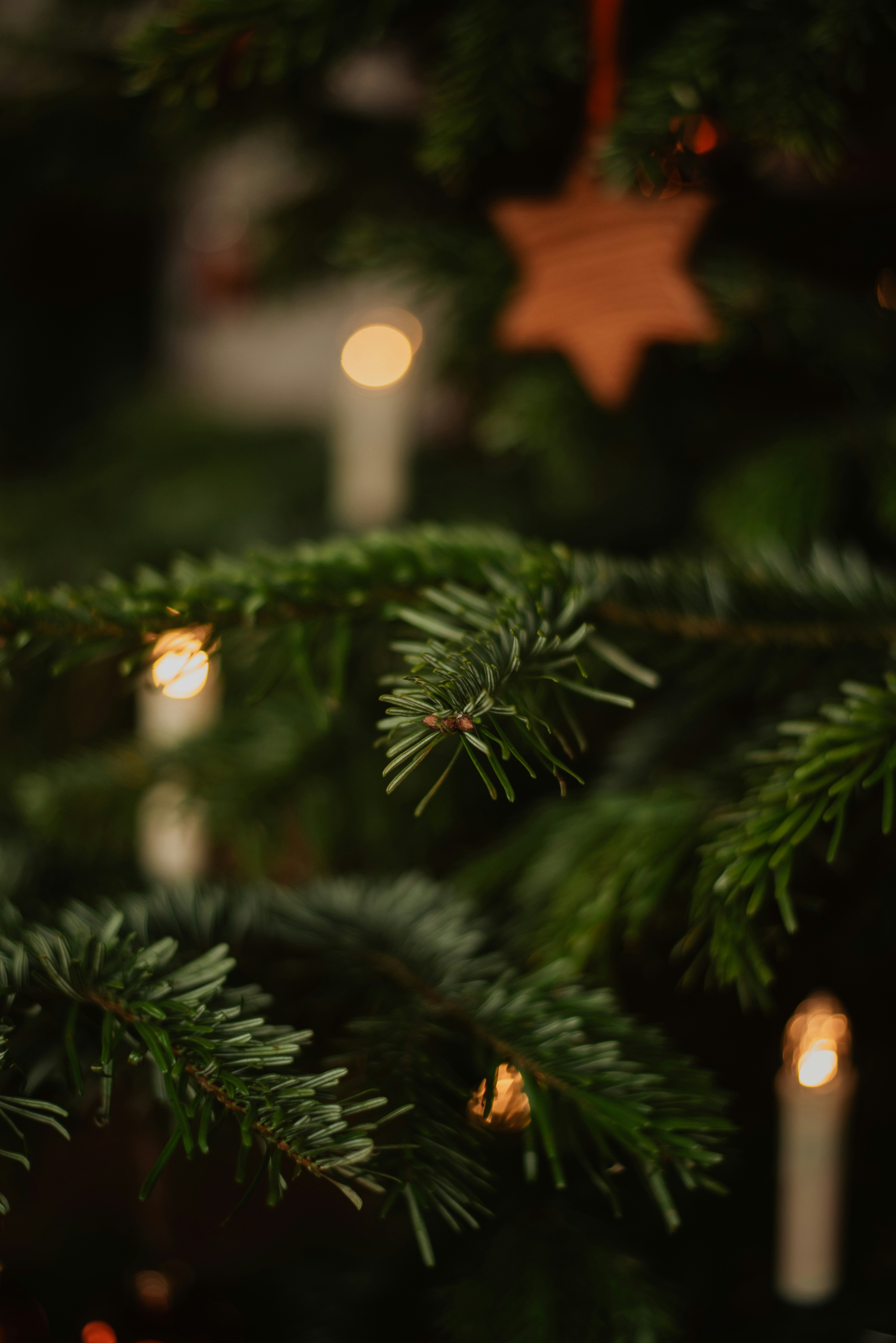 Photo by krykhitka_photo