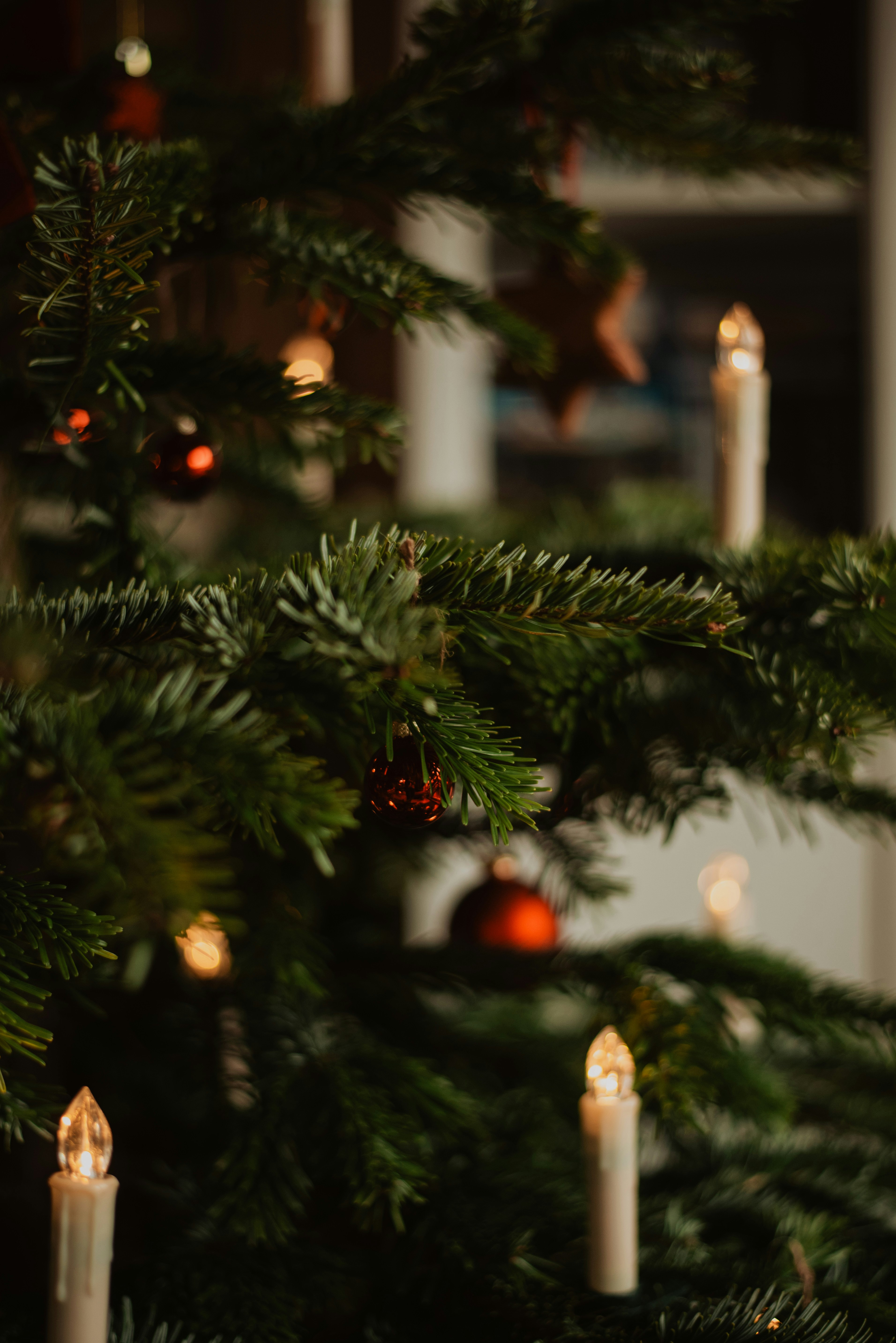 Photo by krykhitka_photo