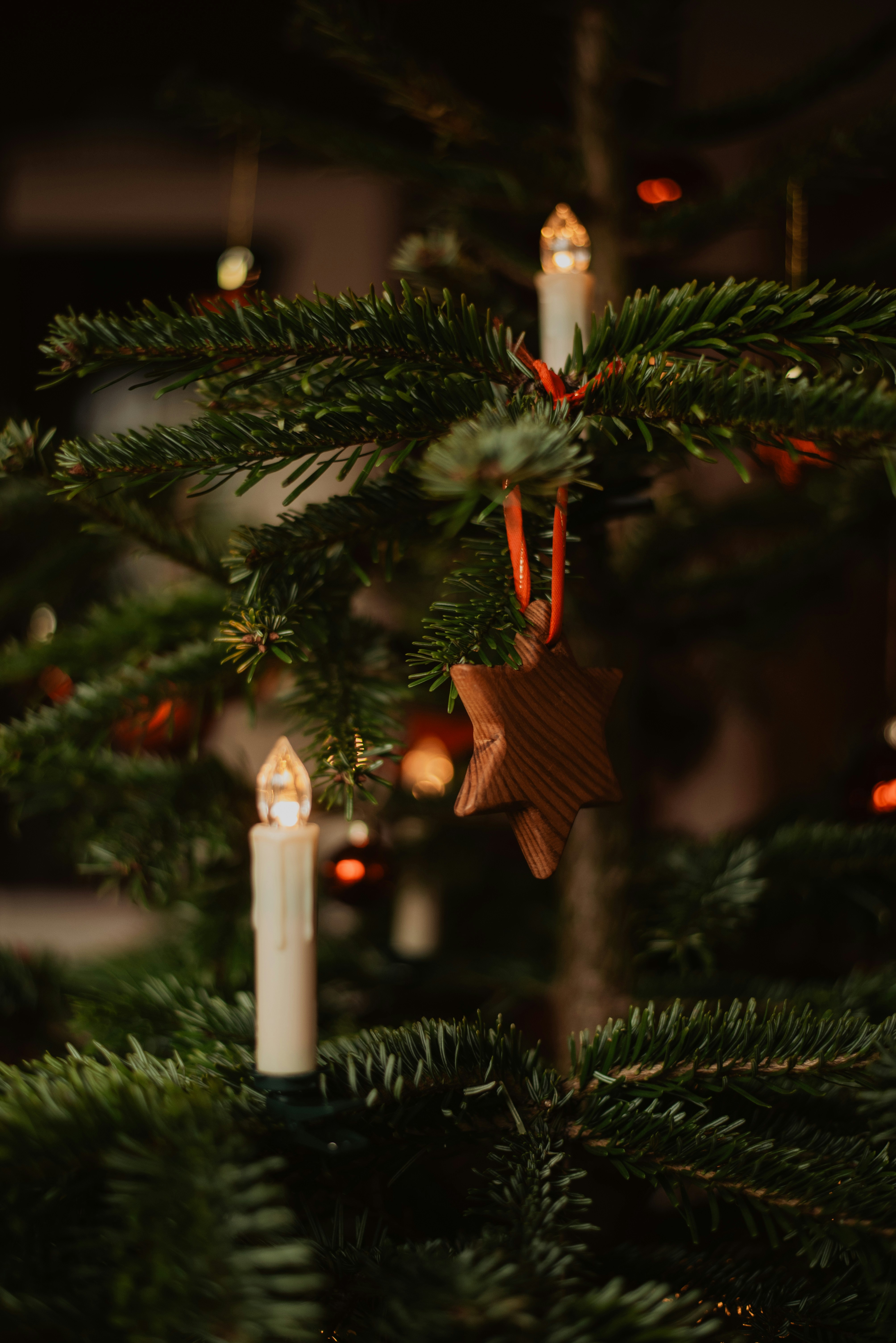 A close up of a christmas tree with a lit candle photo – Free Köln