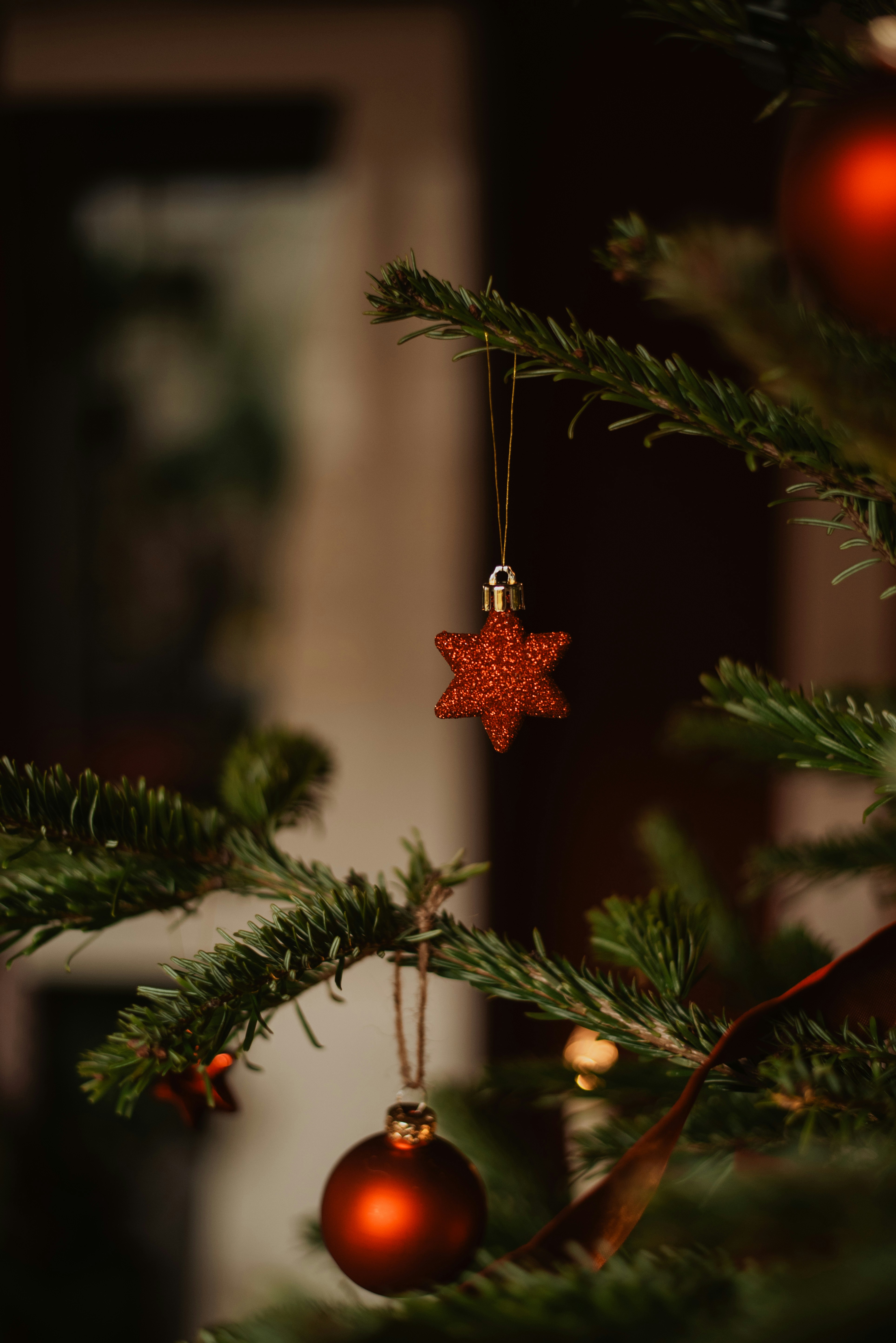 Photo by krykhitka_photo