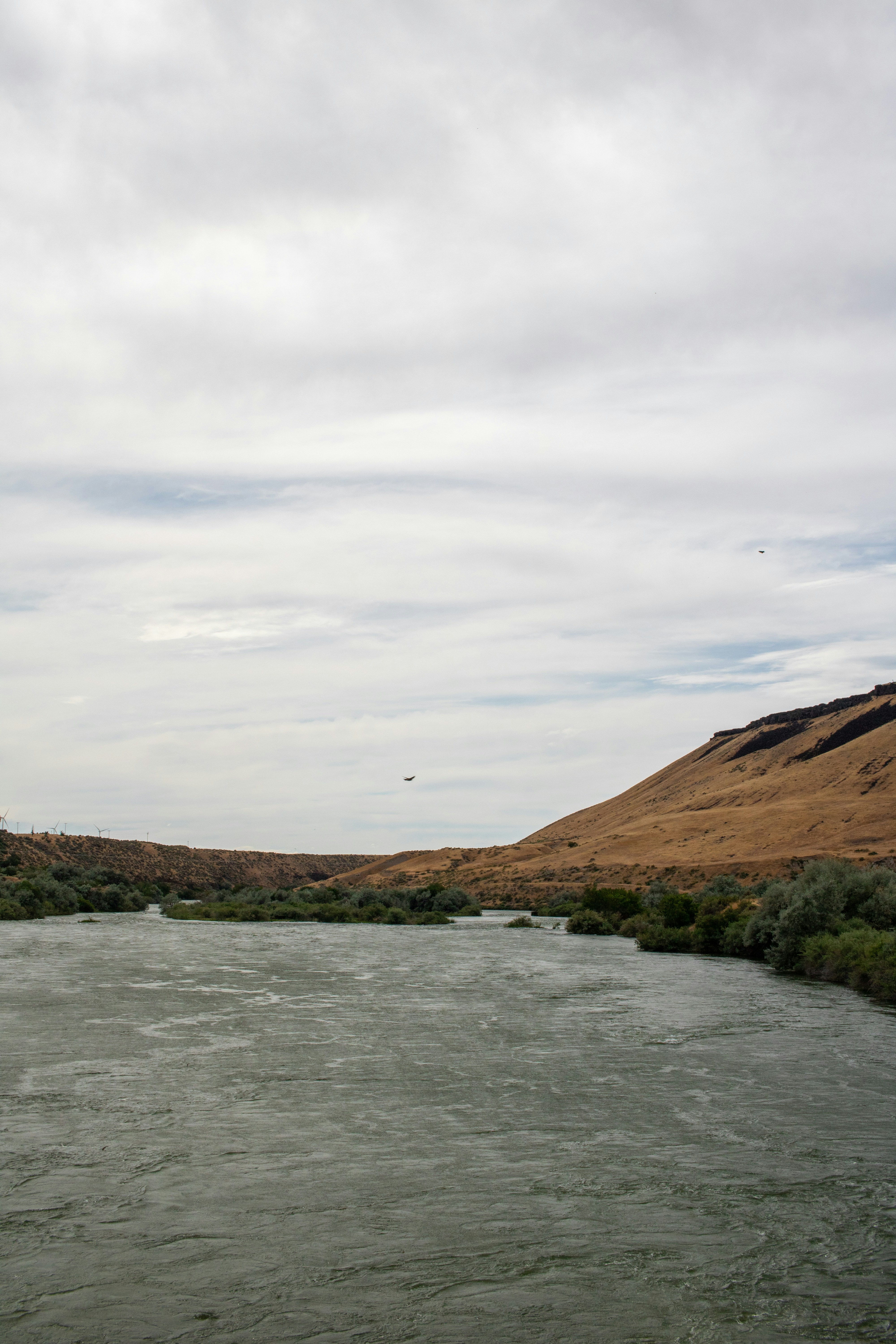 Photo by zoshuacolah