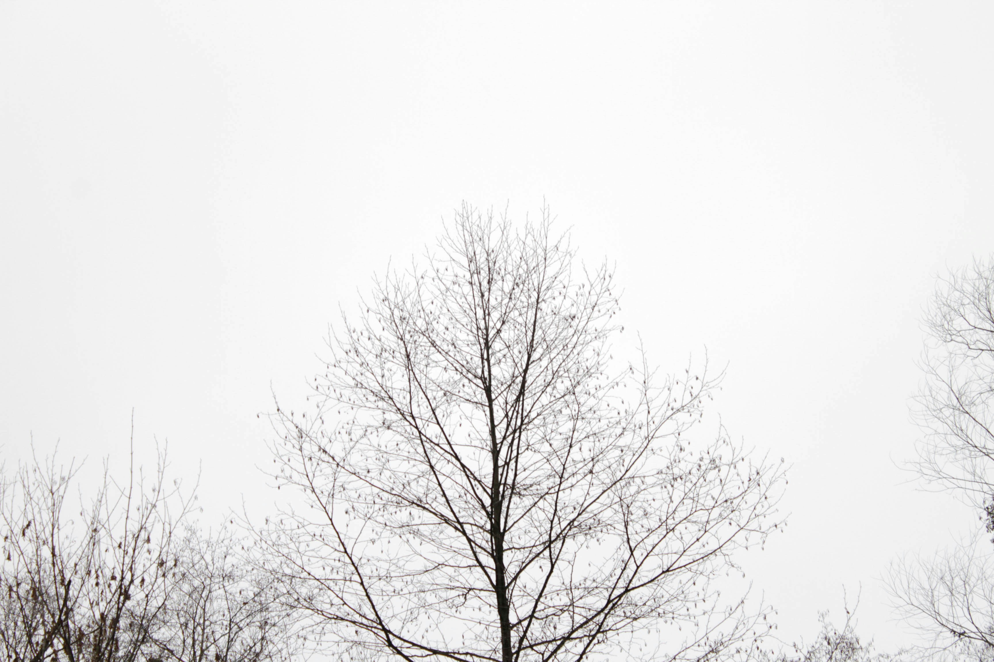 Photo by dmytrodovgan