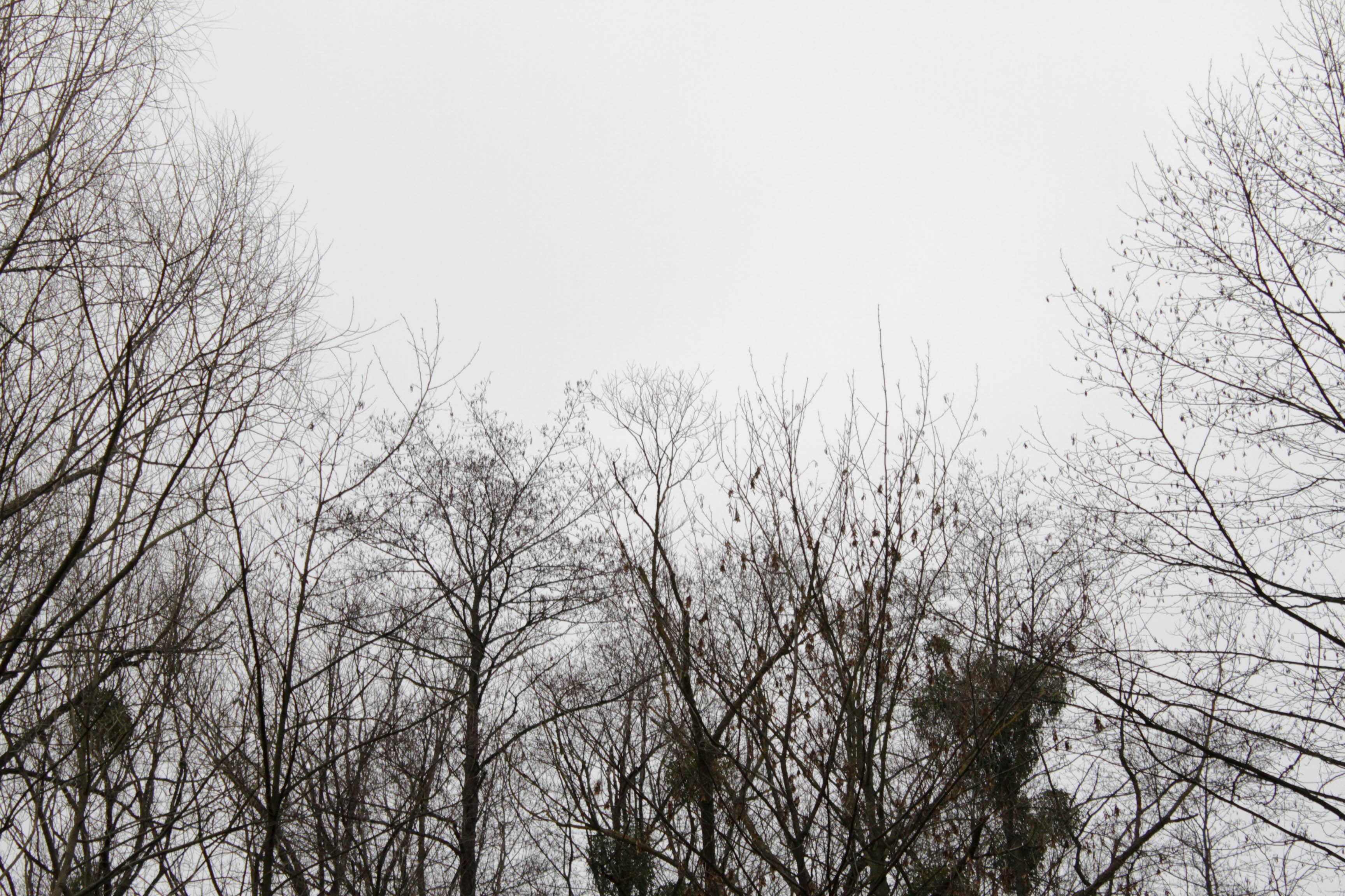 Photo by dmytrodovgan