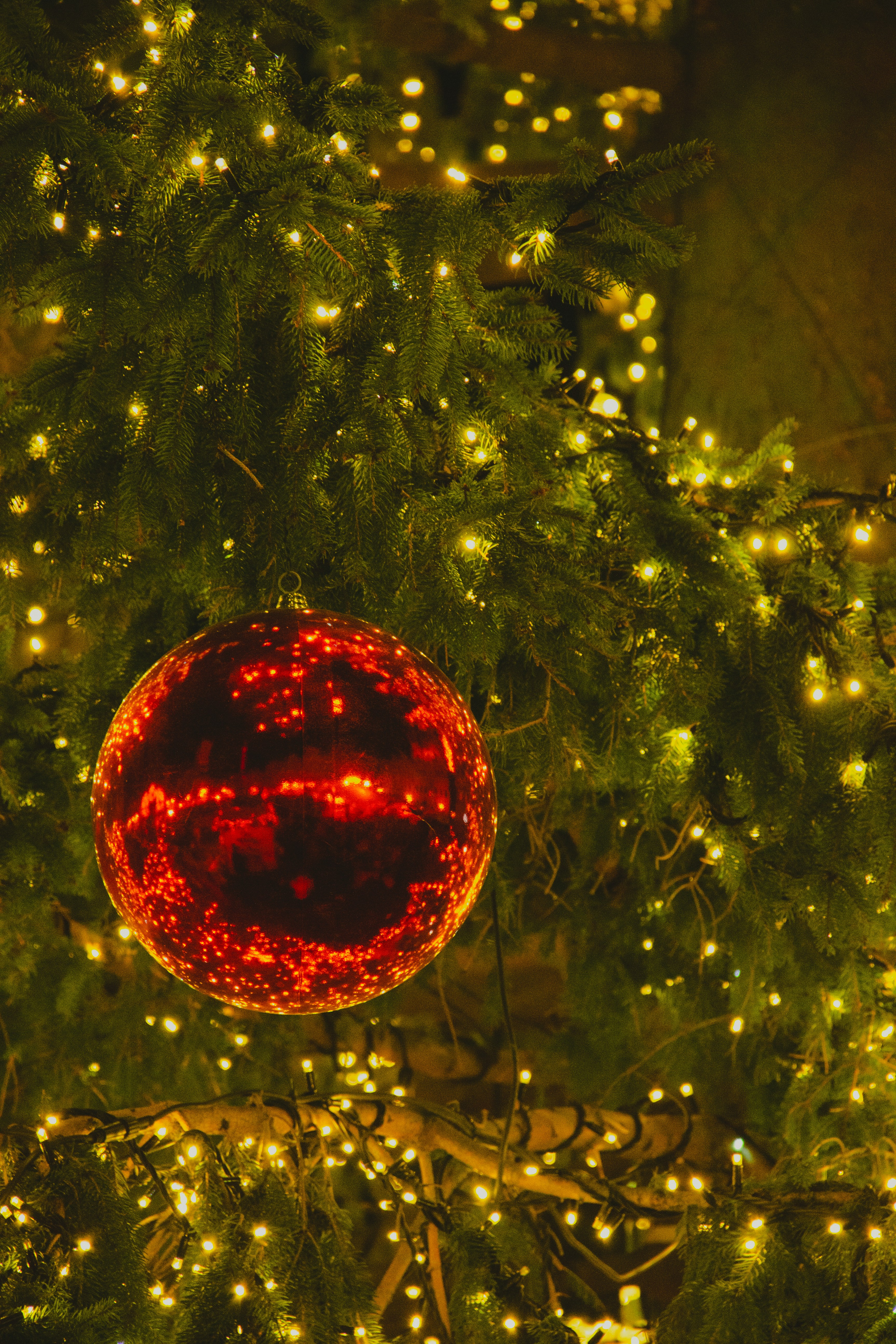 Photo by daniyarorazov