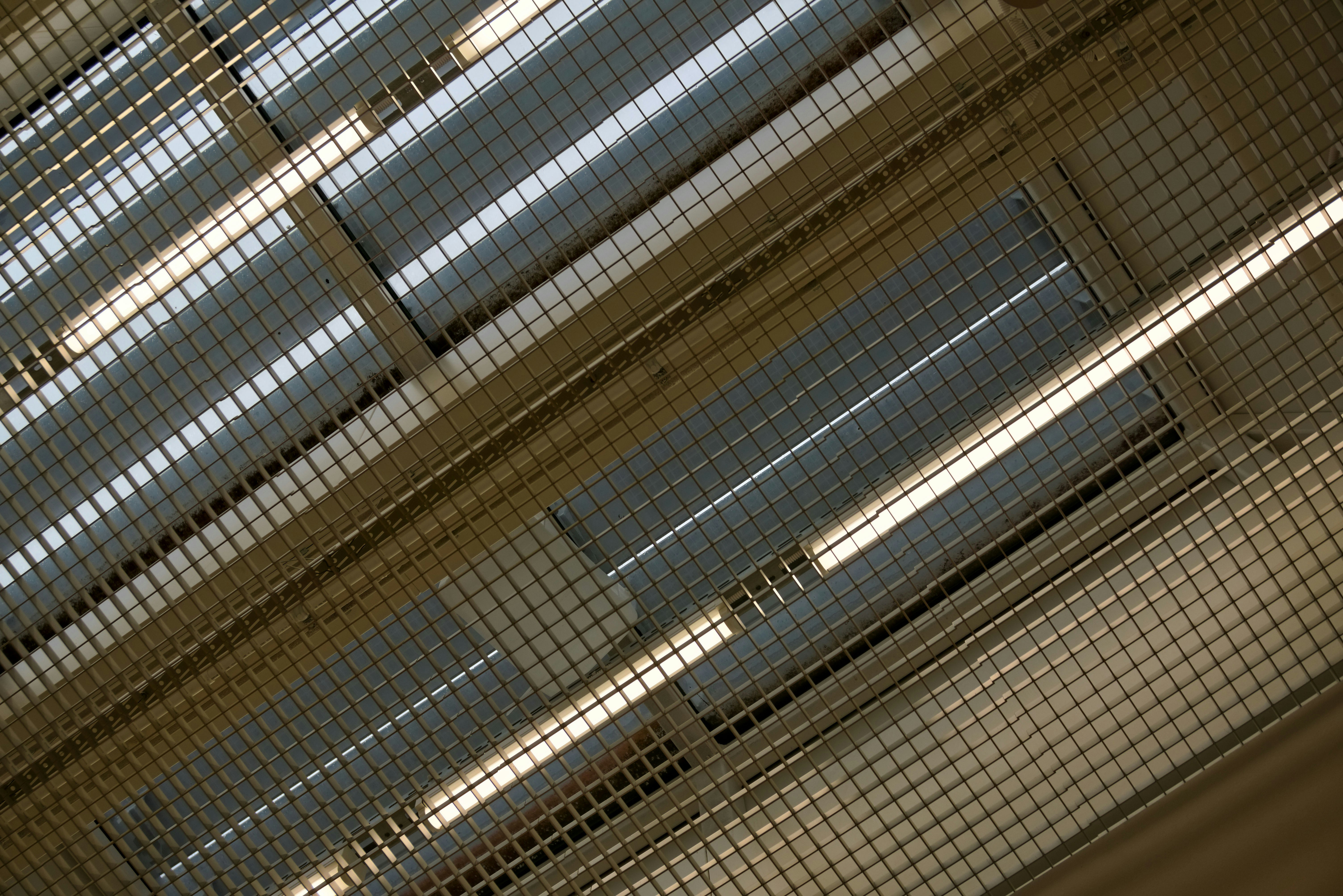 Photo by cherniaev_public