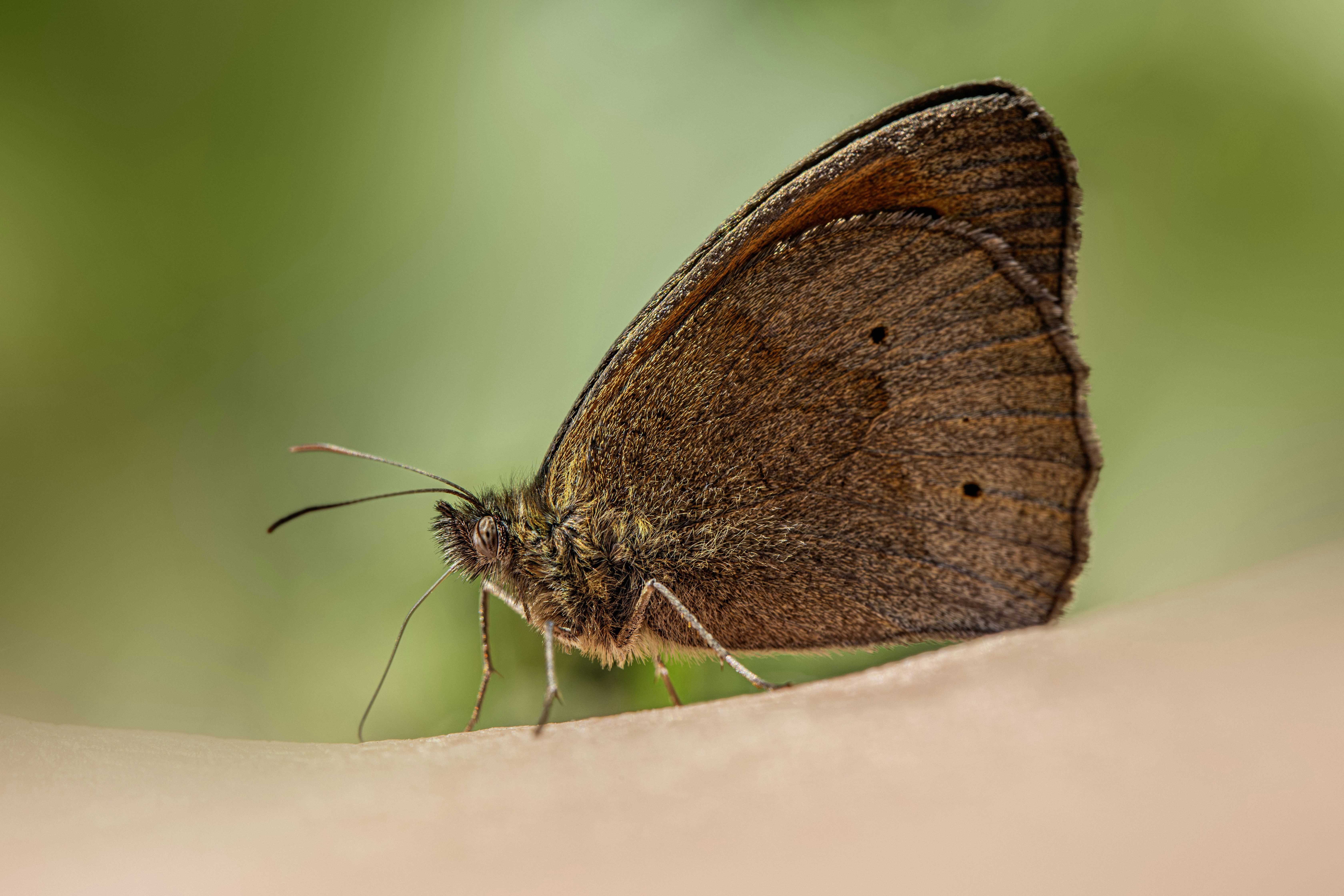 Photo by erik_karits