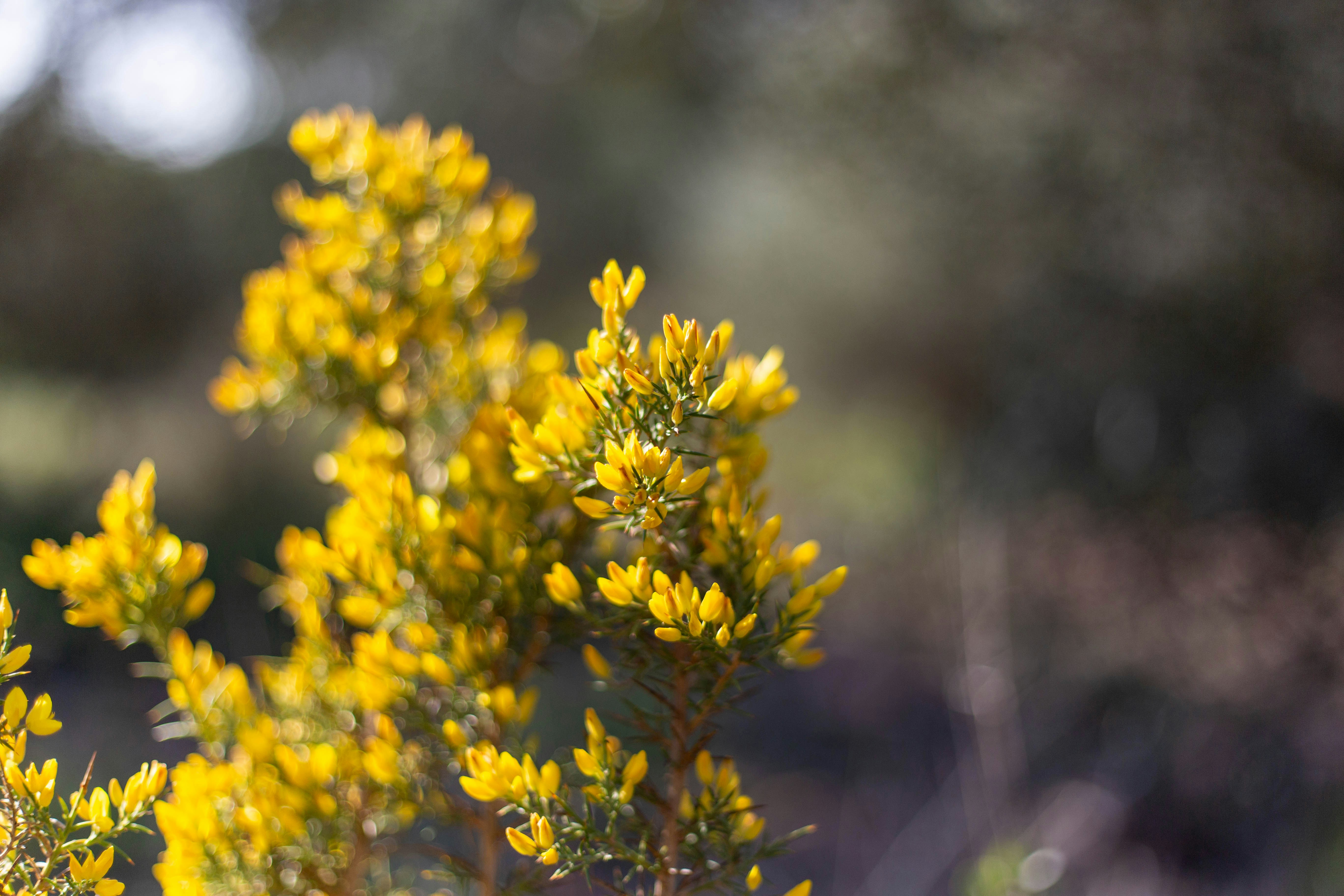 Photo by michelelana