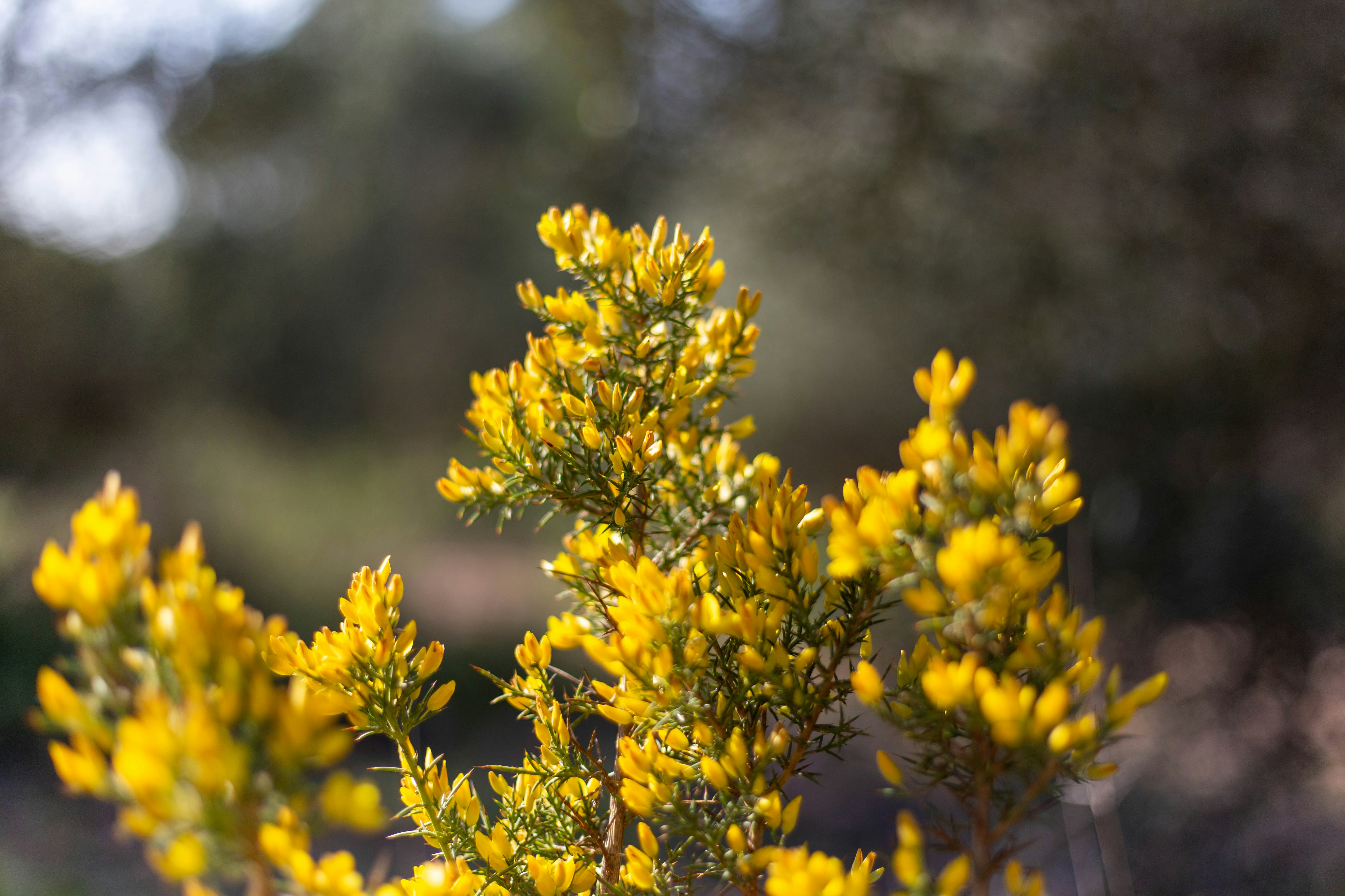 Photo by michelelana