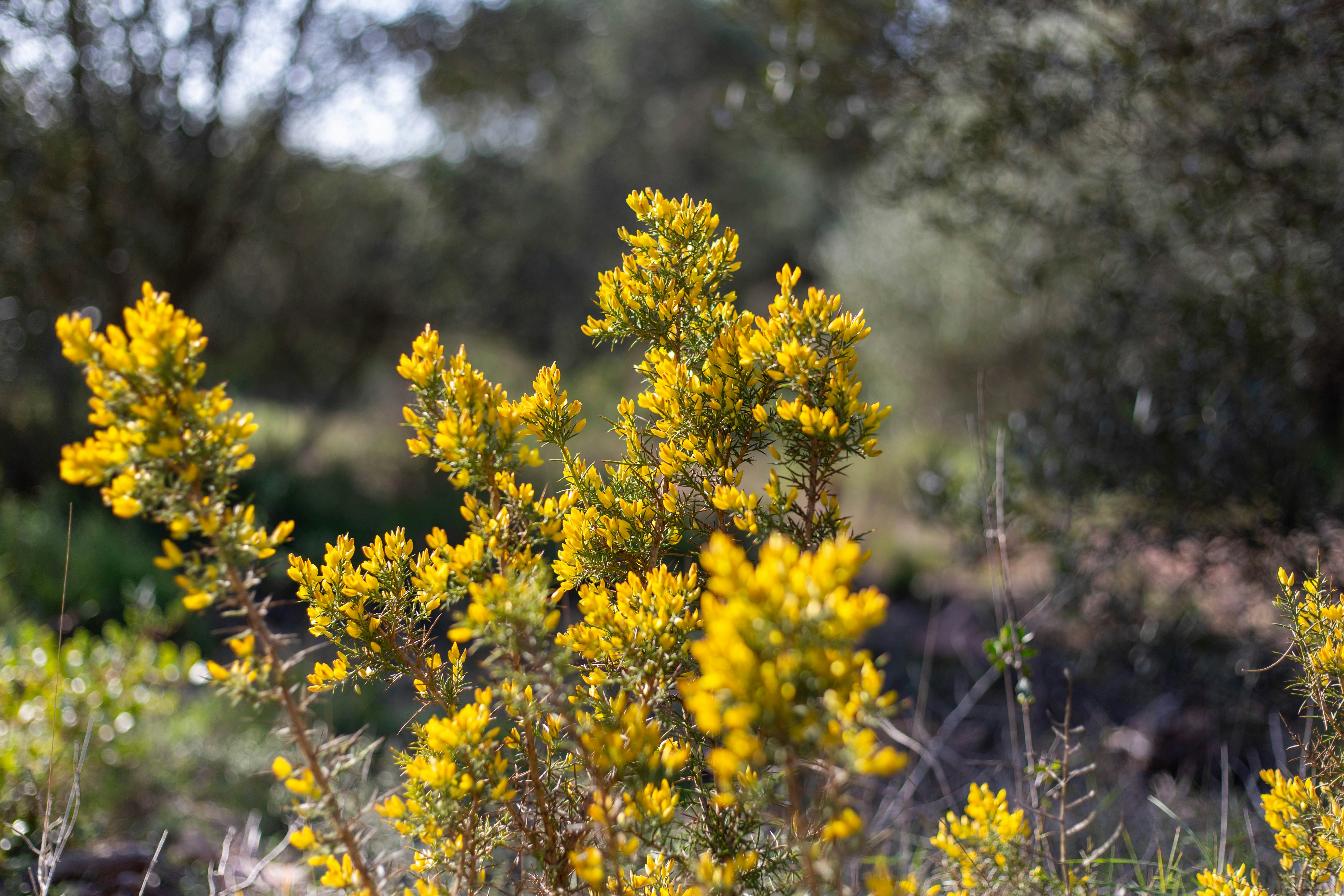 Photo by michelelana