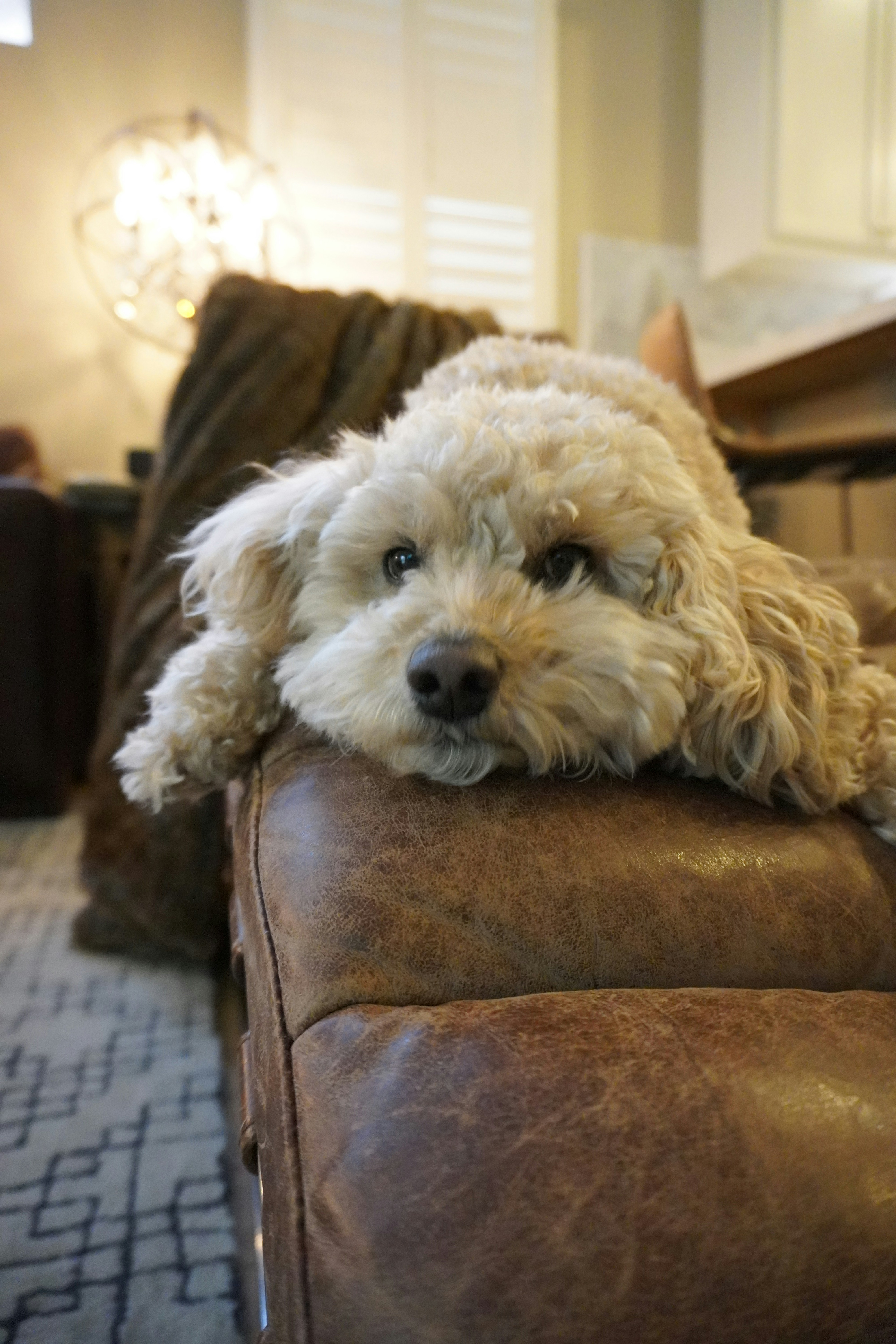 Photo by naveenketterer