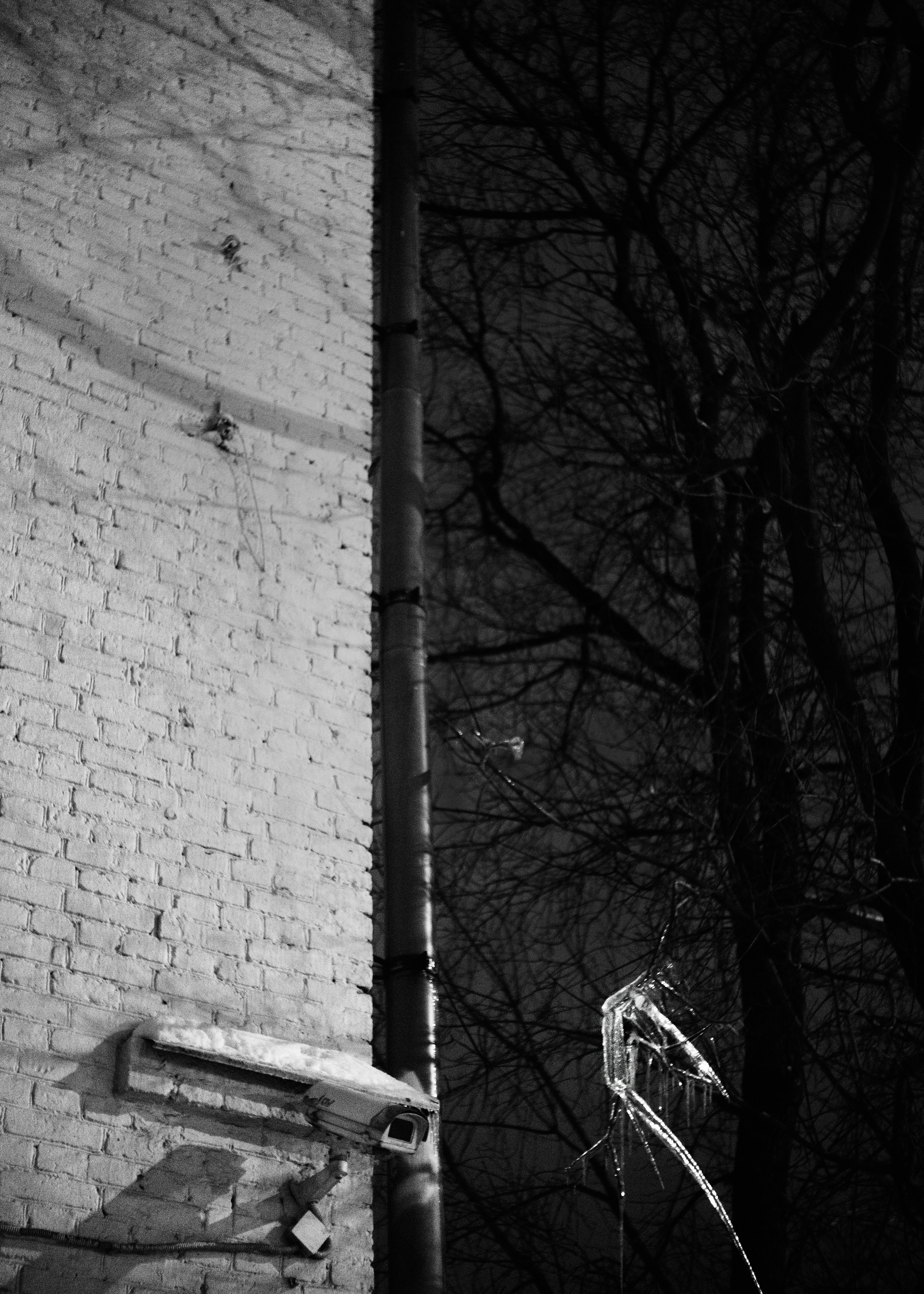 Photo by ionemchinov