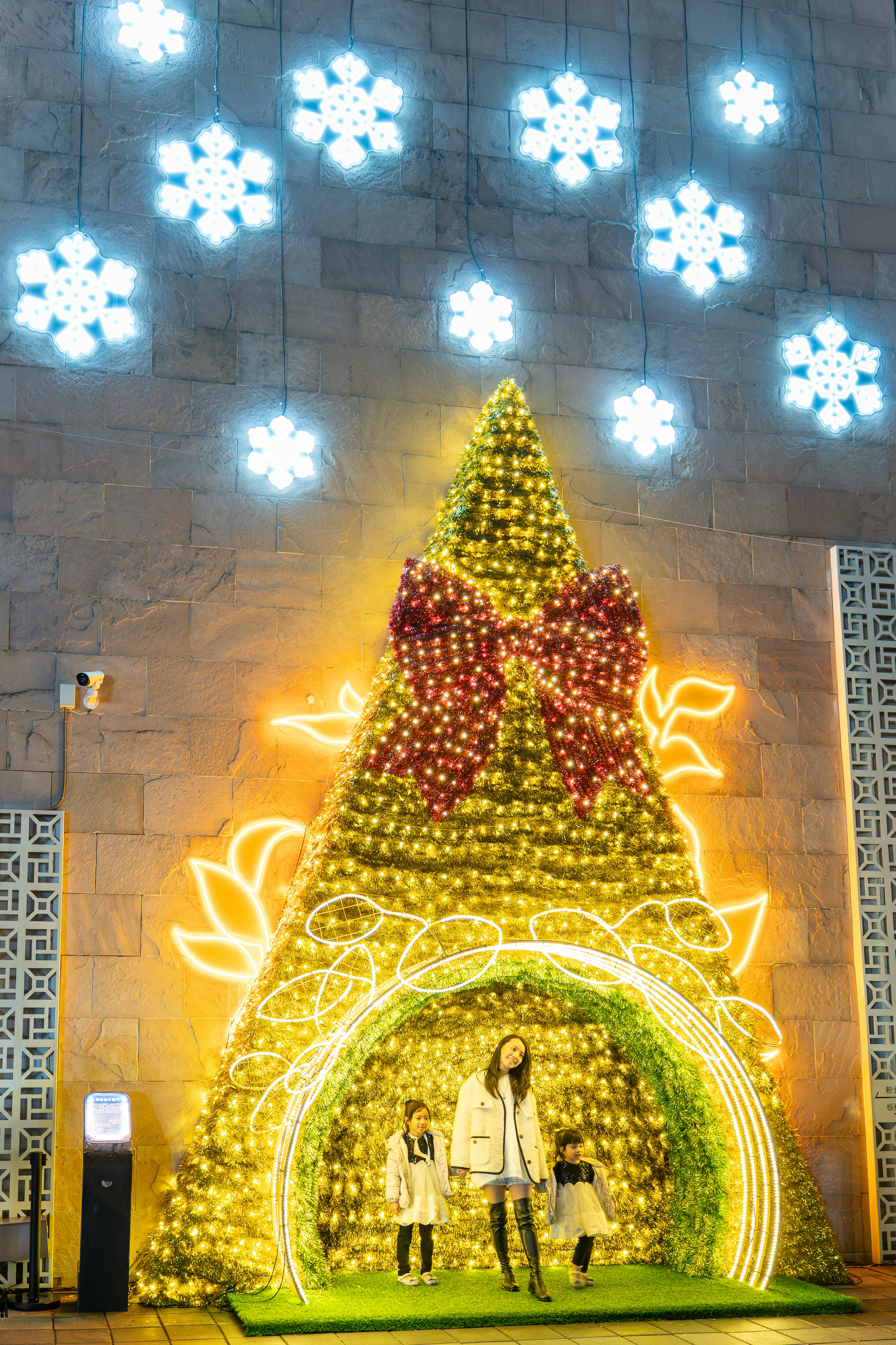 建物の前にあるライトアップされたクリスマスツリー