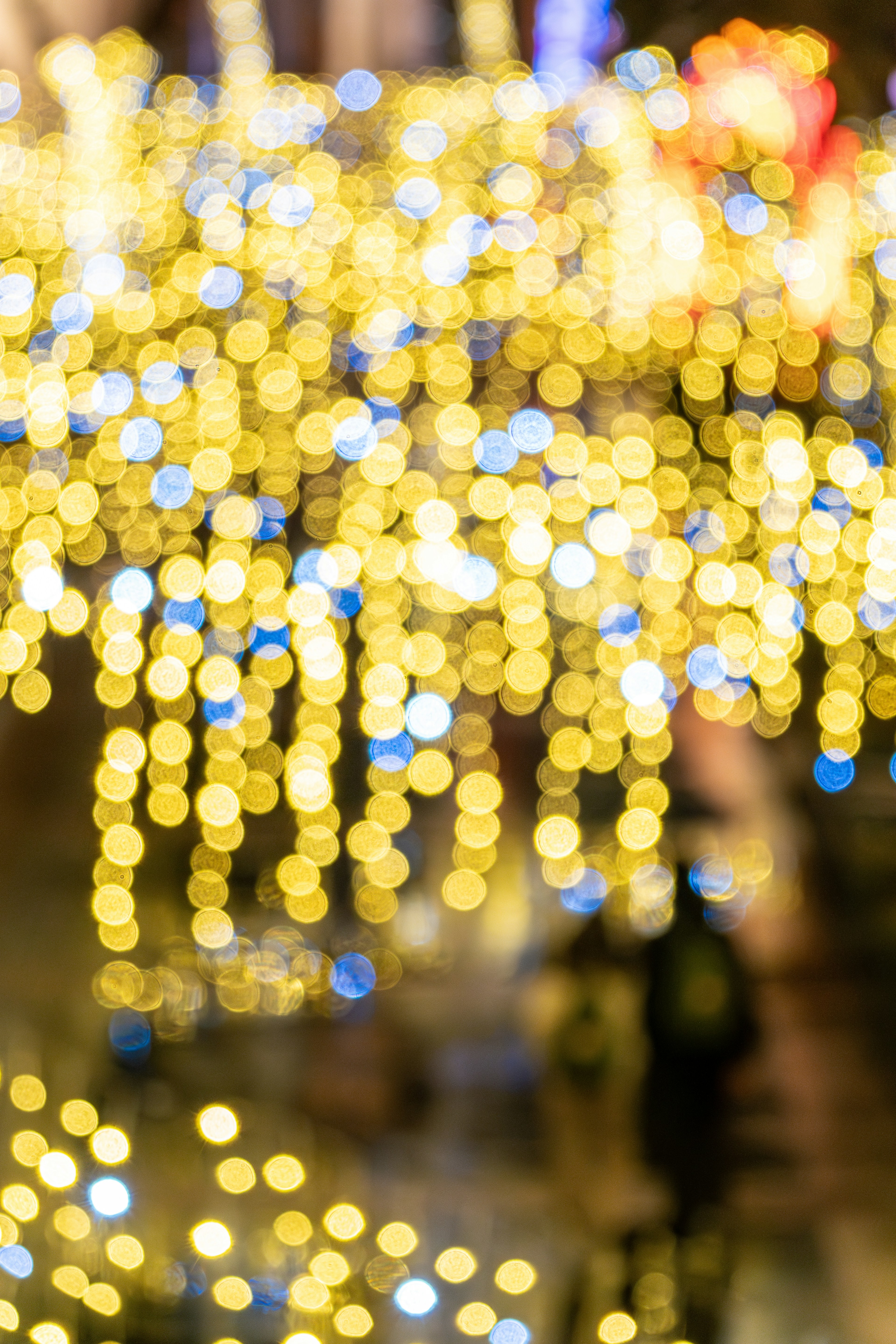 Photo by winstonchen