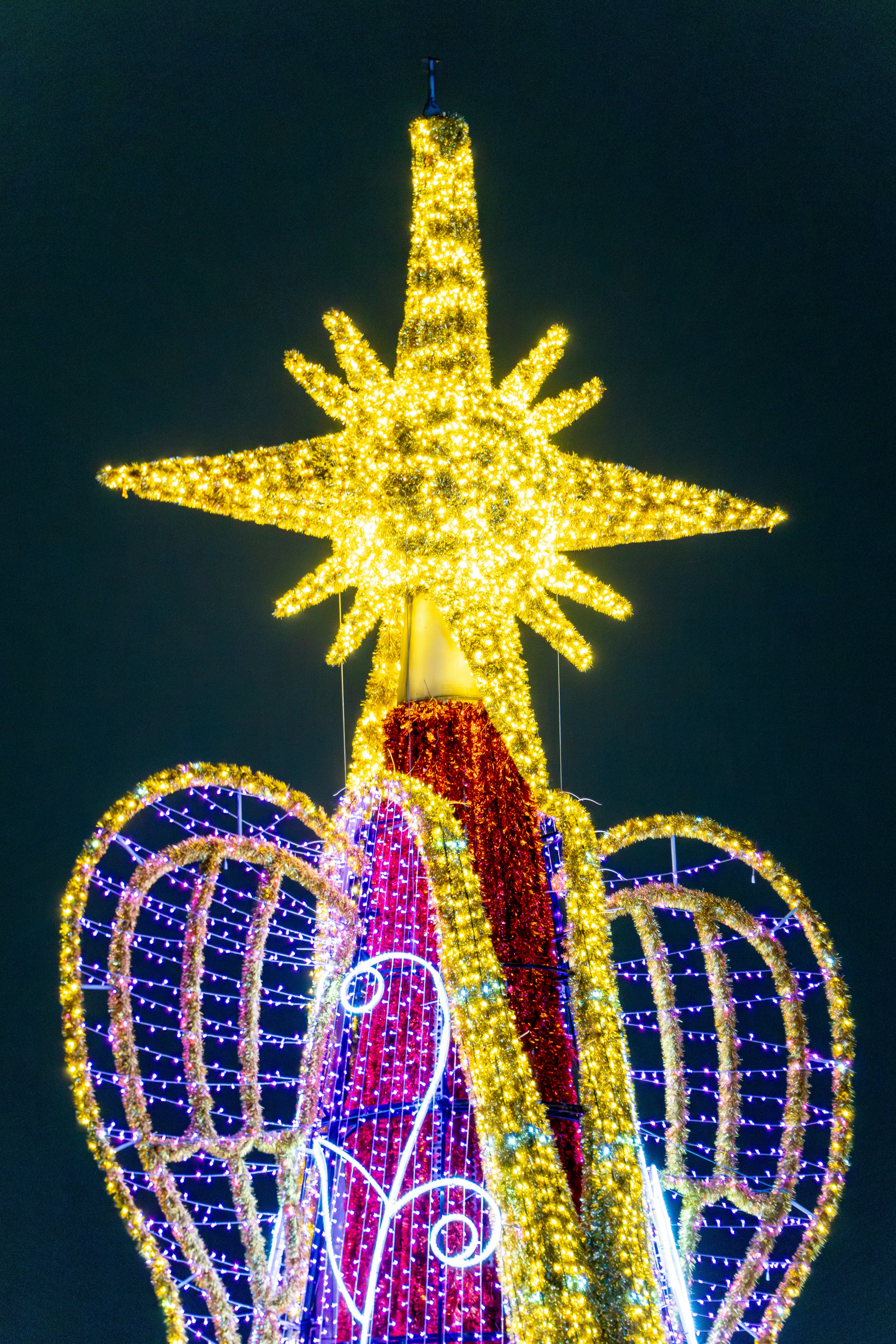 星を上に乗せたライトアップされたクリスマスツリー