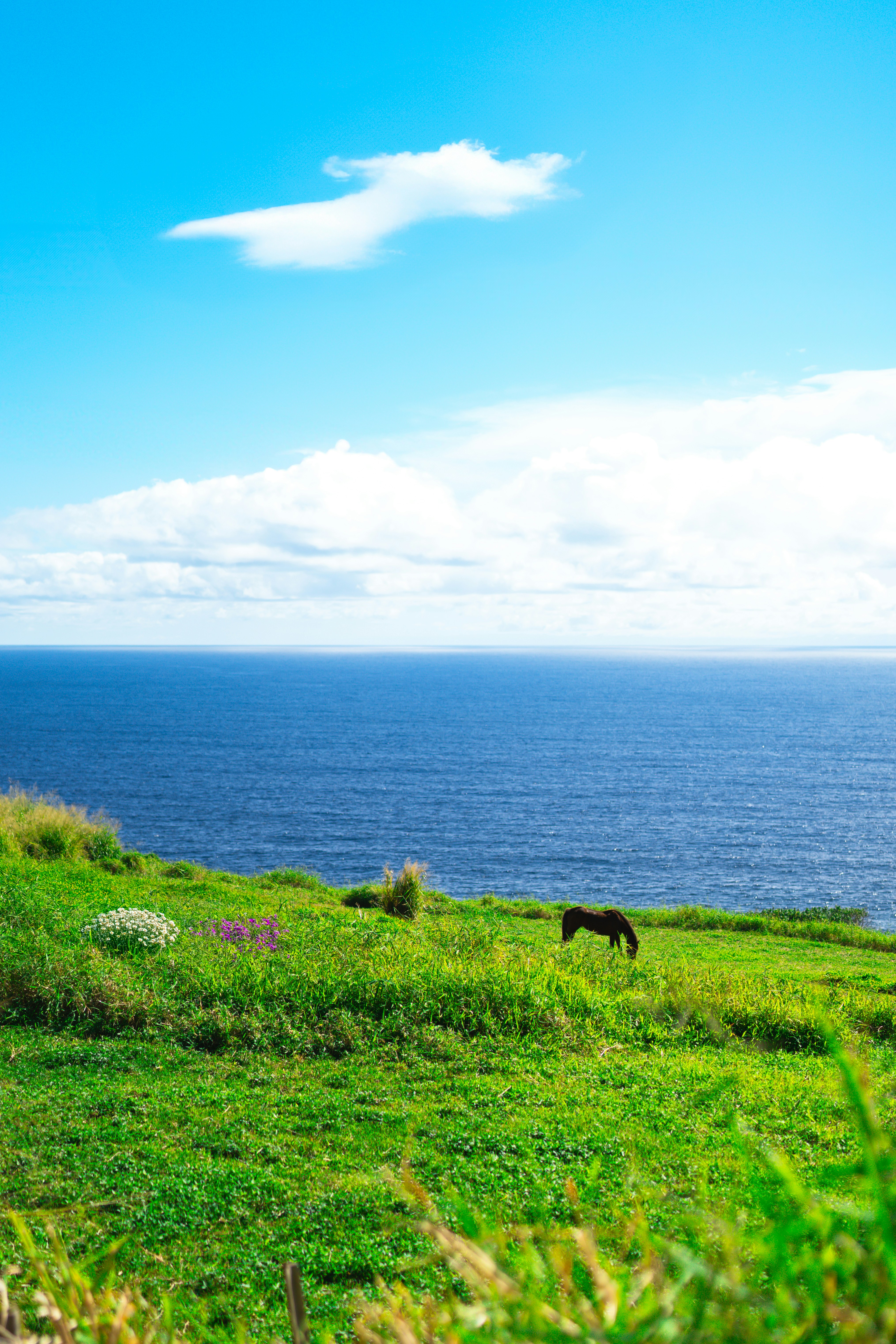 Photo by vasupendyalaa