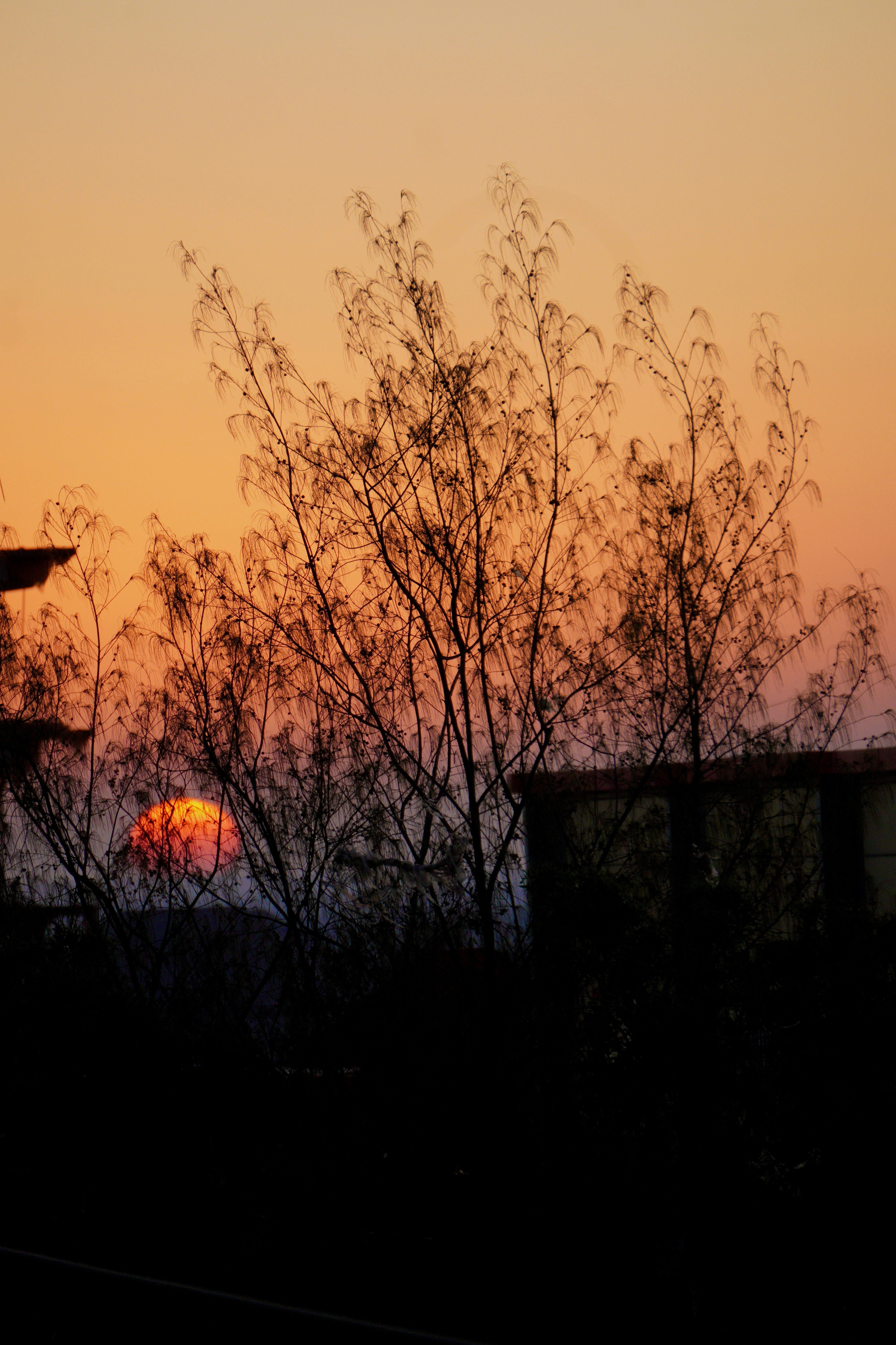 Photo by arkhatib