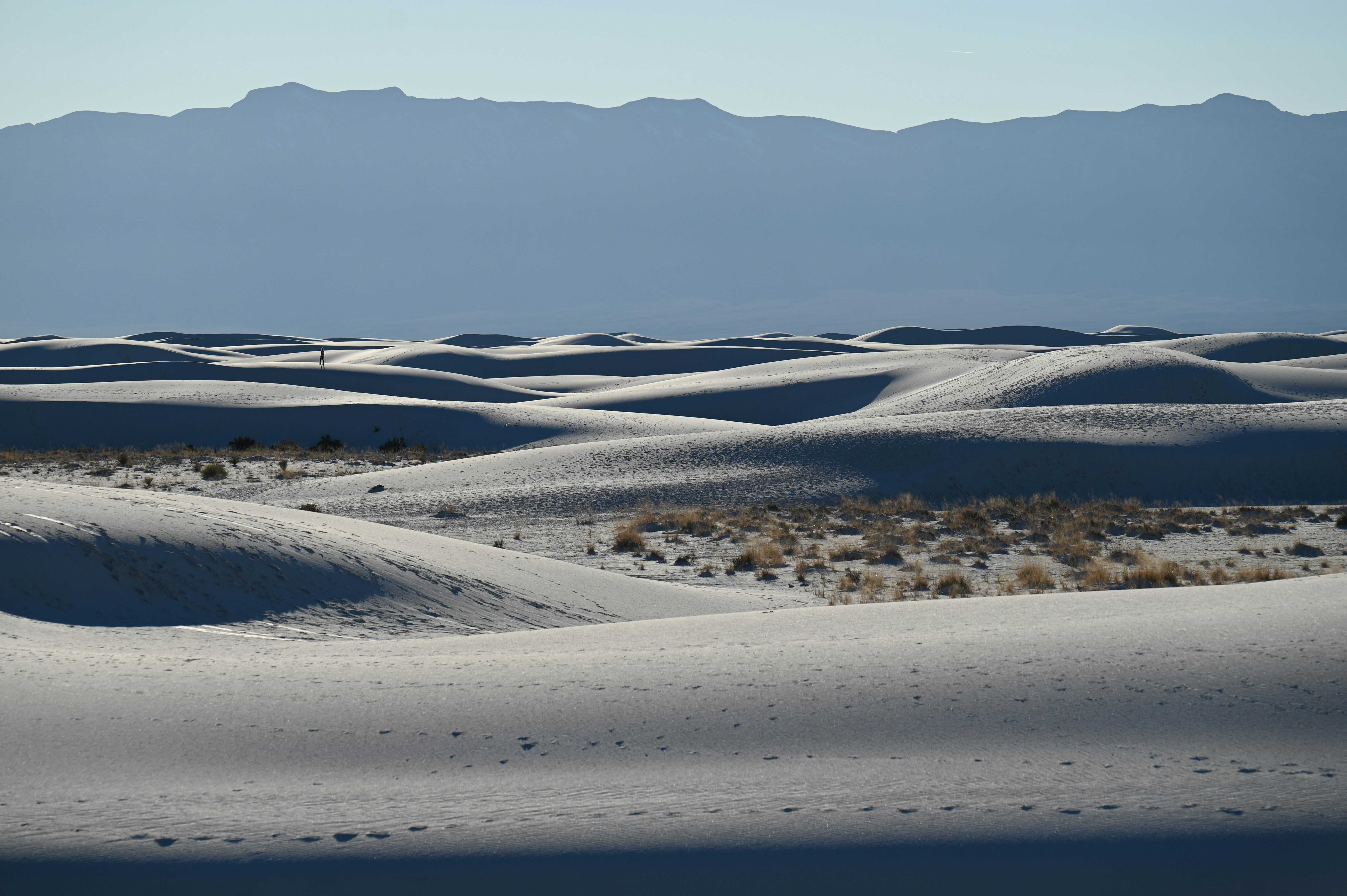 Photo by astrobykrishna