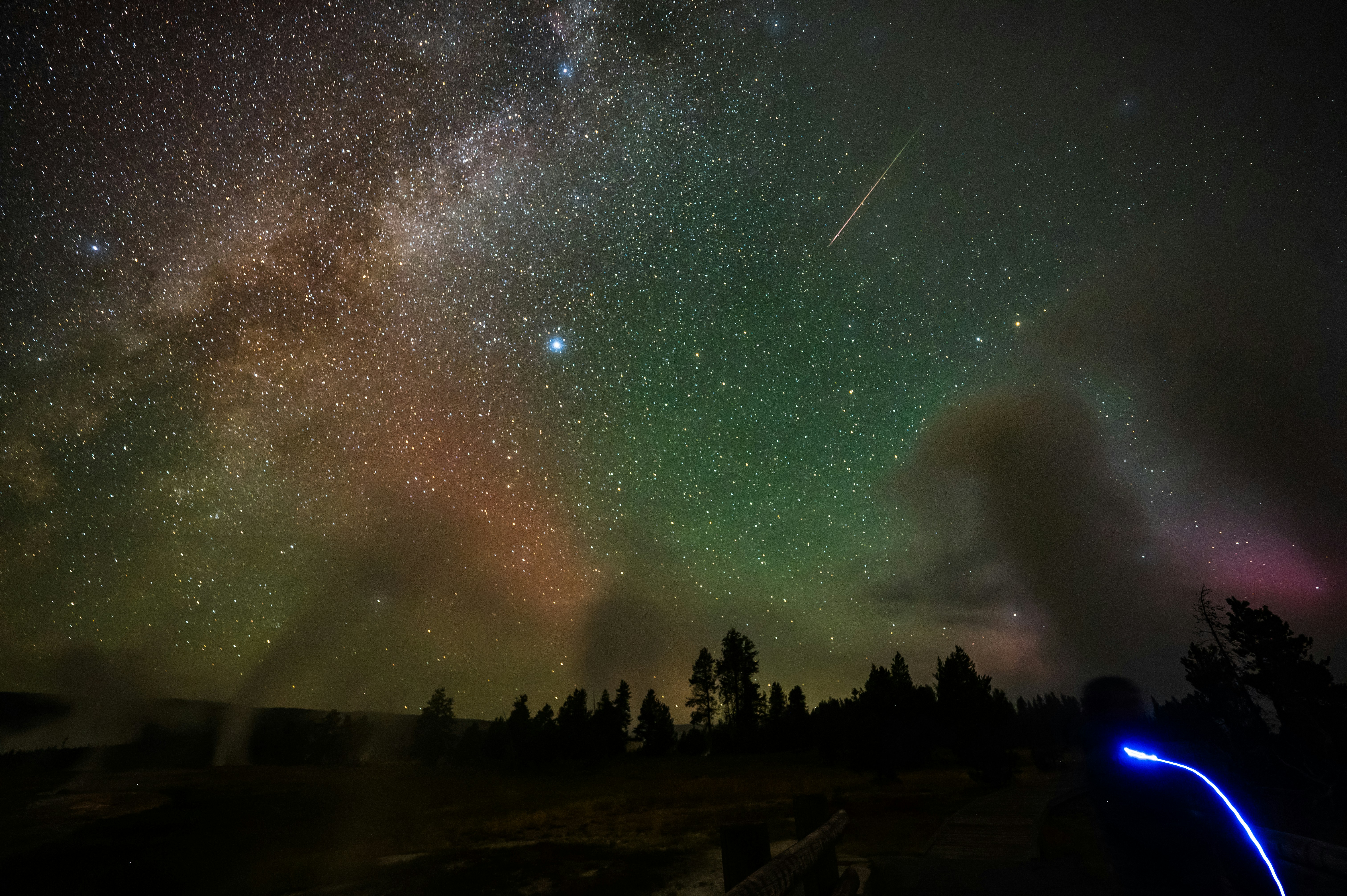 A night sky with a lot of stars and some trees, Wonders of Yellowstone