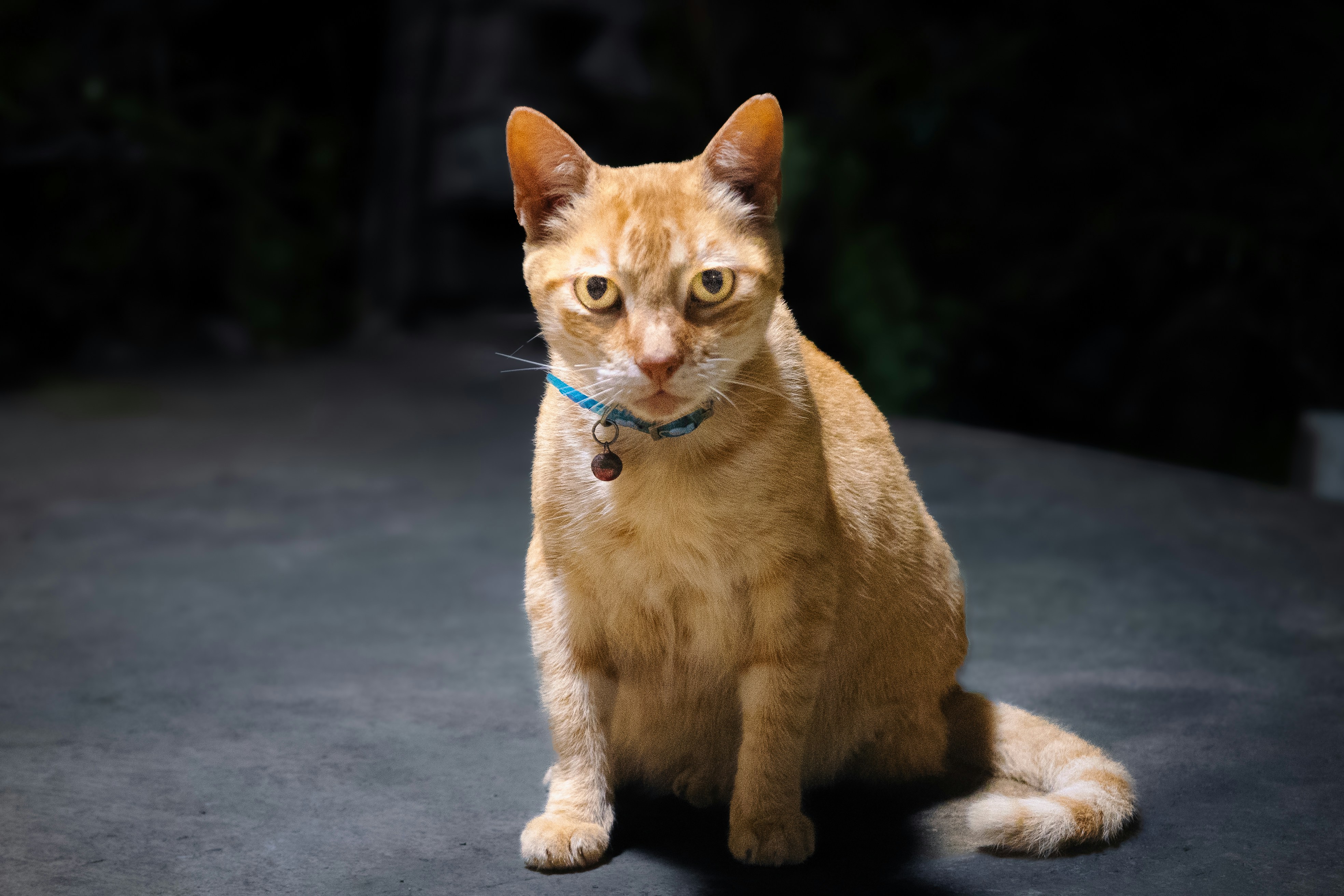 Photo by cinematic_life_nic