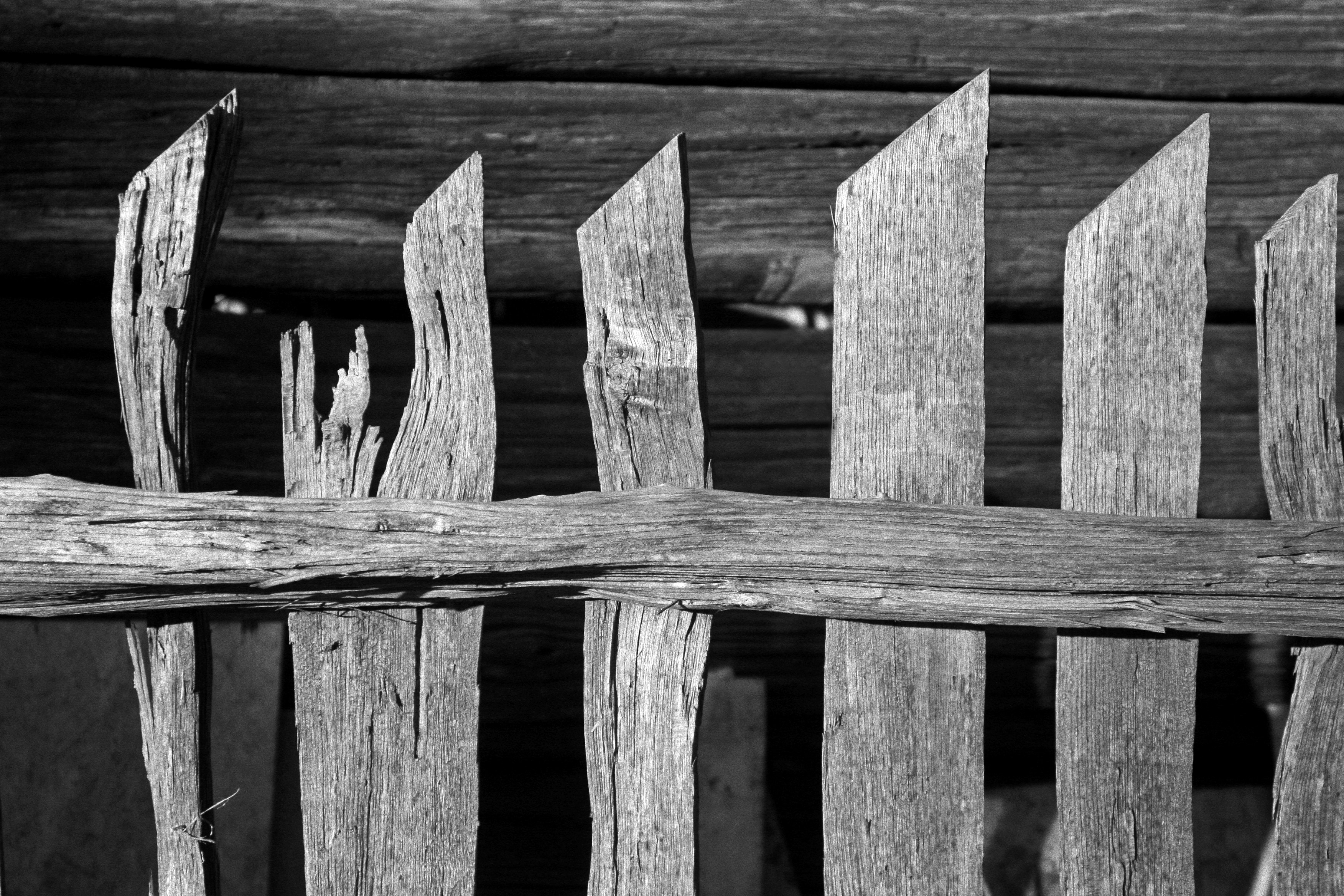 Photo by john_cardamone