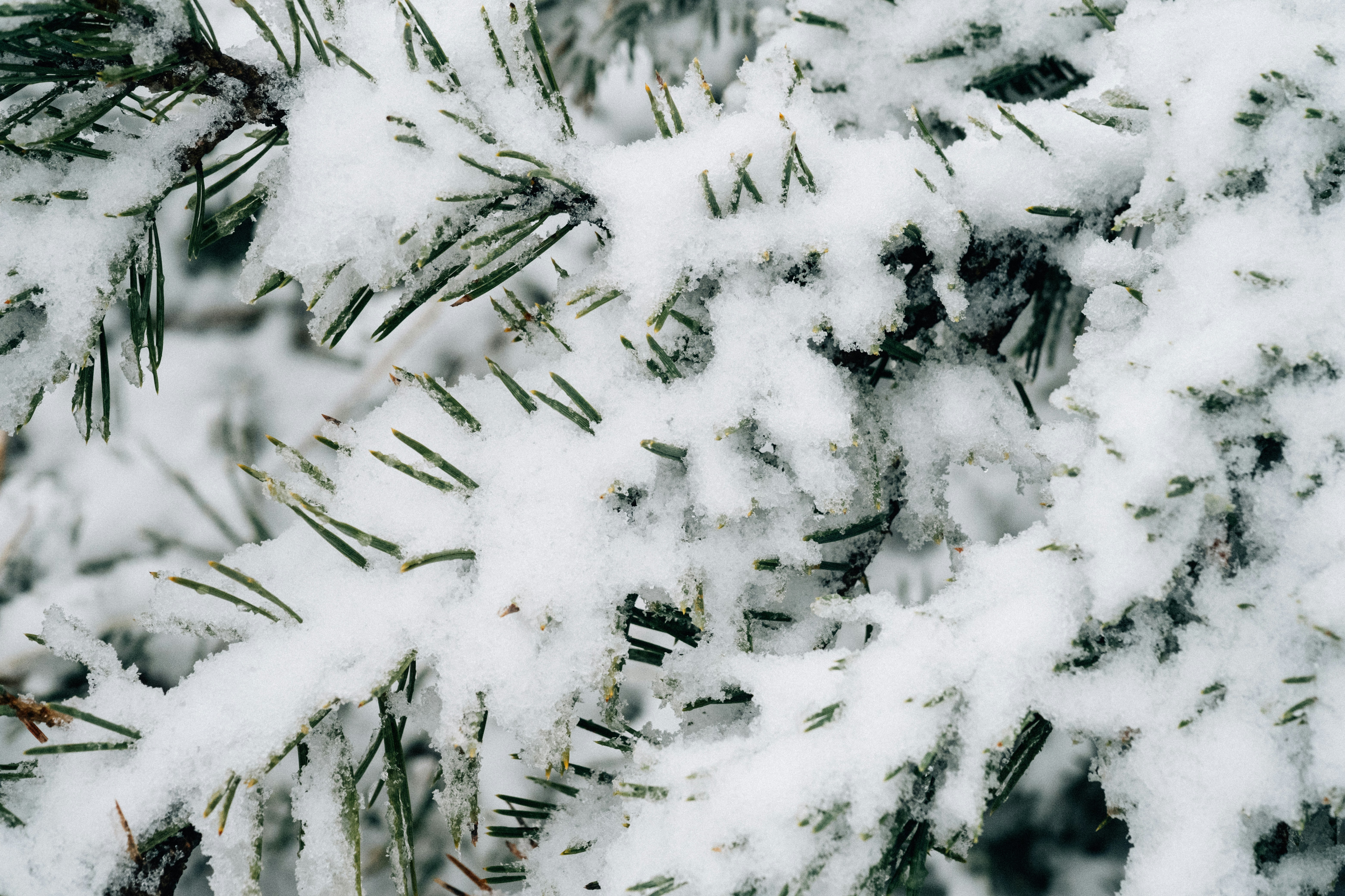 Photo by remimorel05