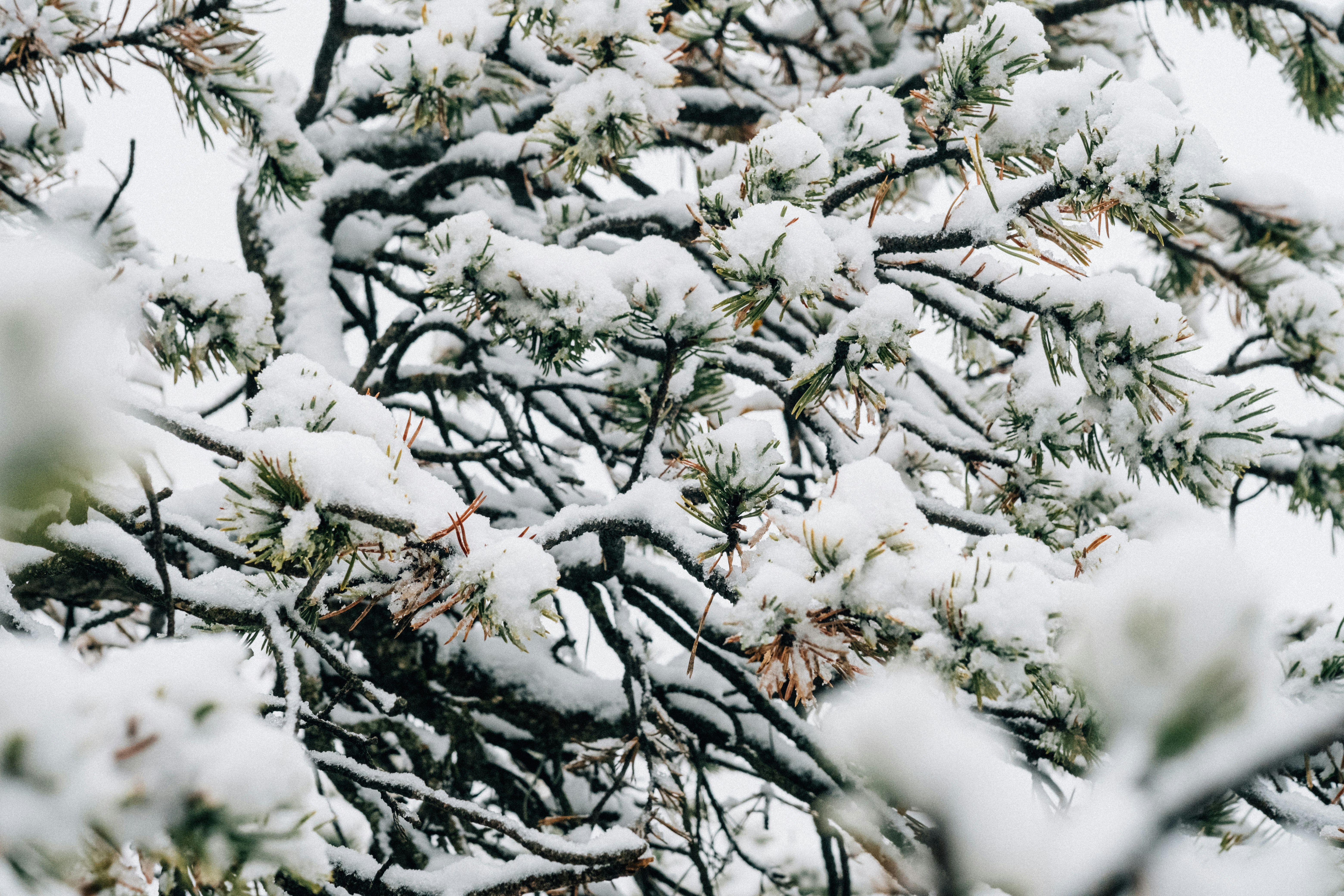 Photo by remimorel05