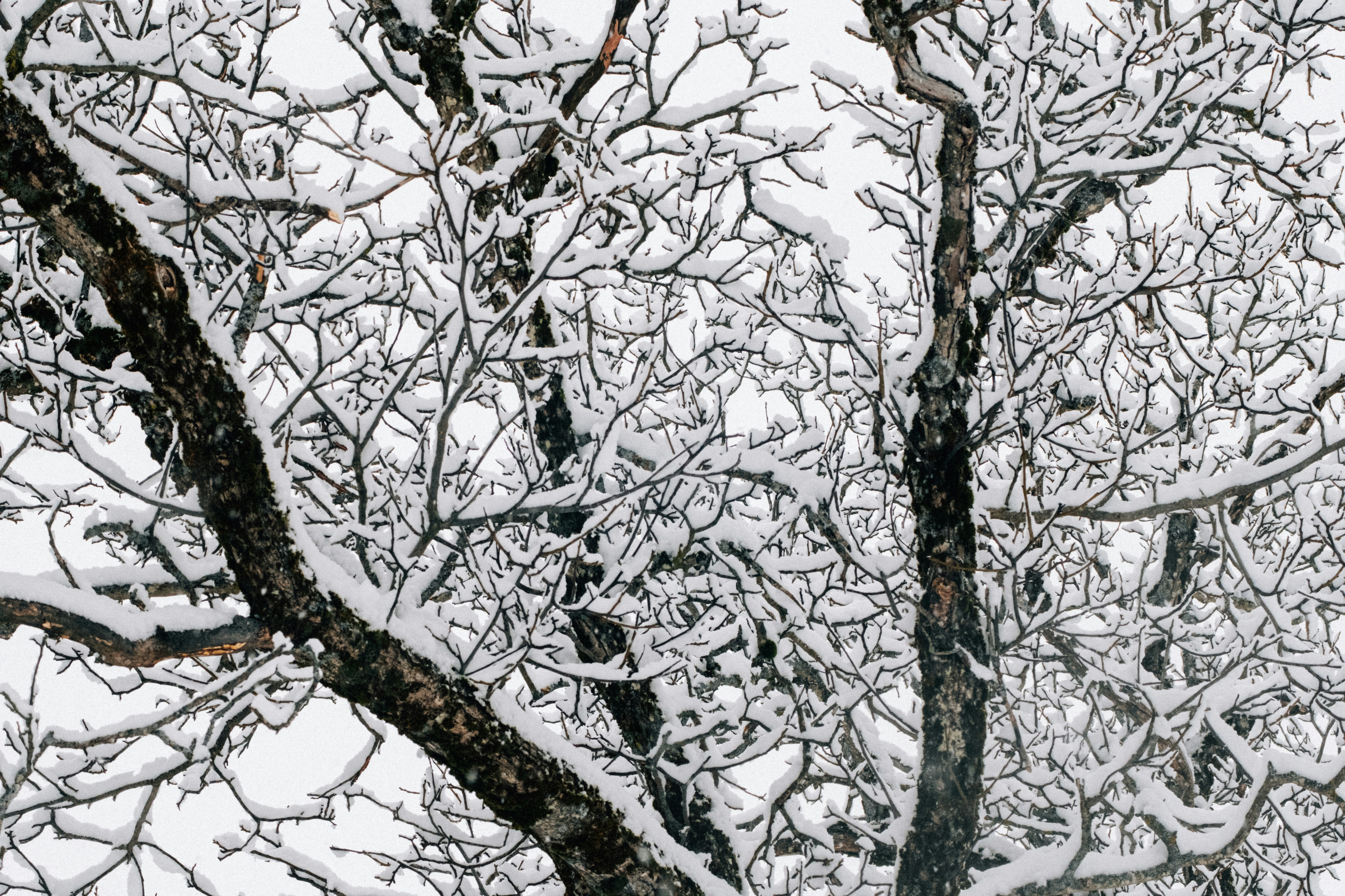 Photo by remimorel05