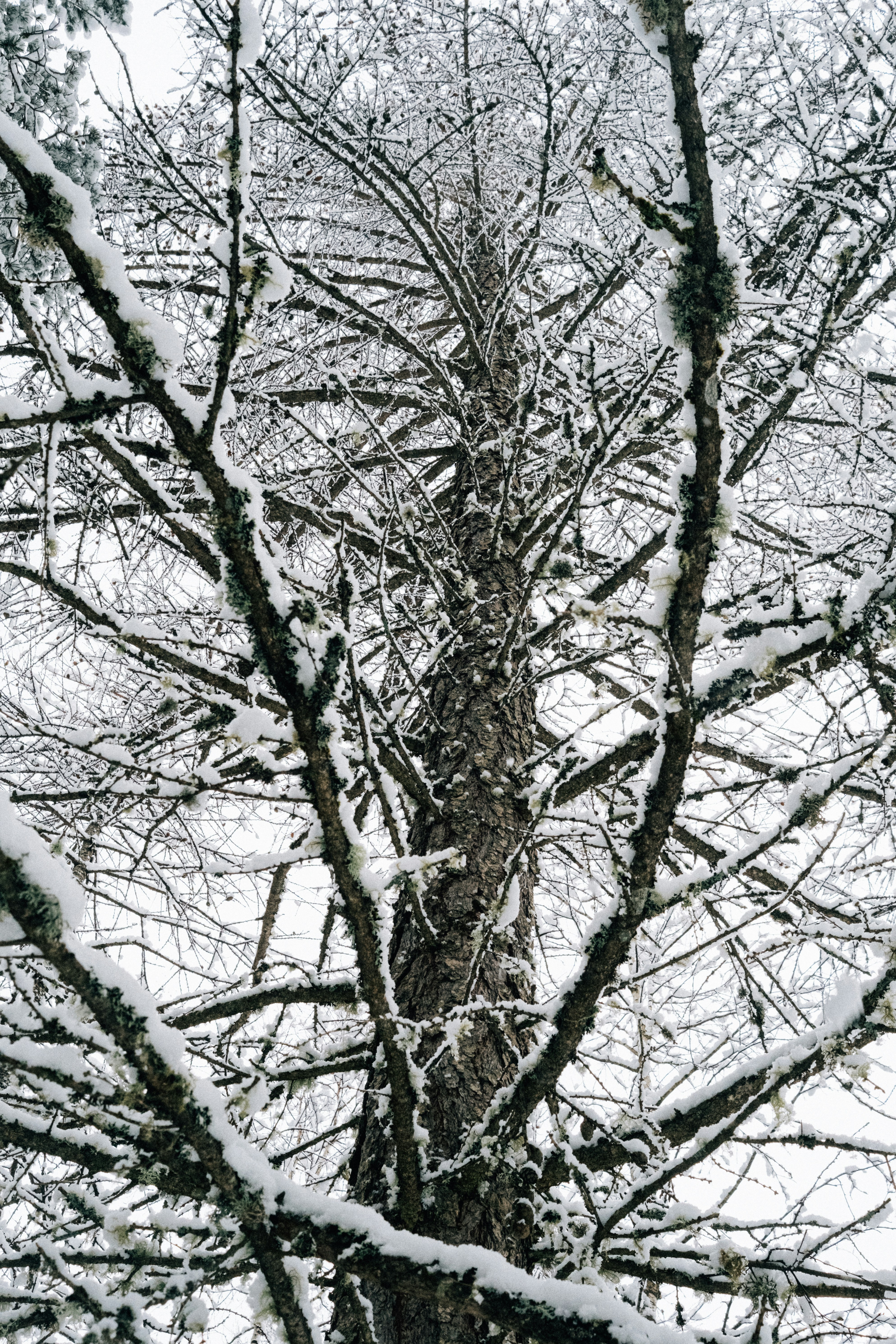 Photo by remimorel05