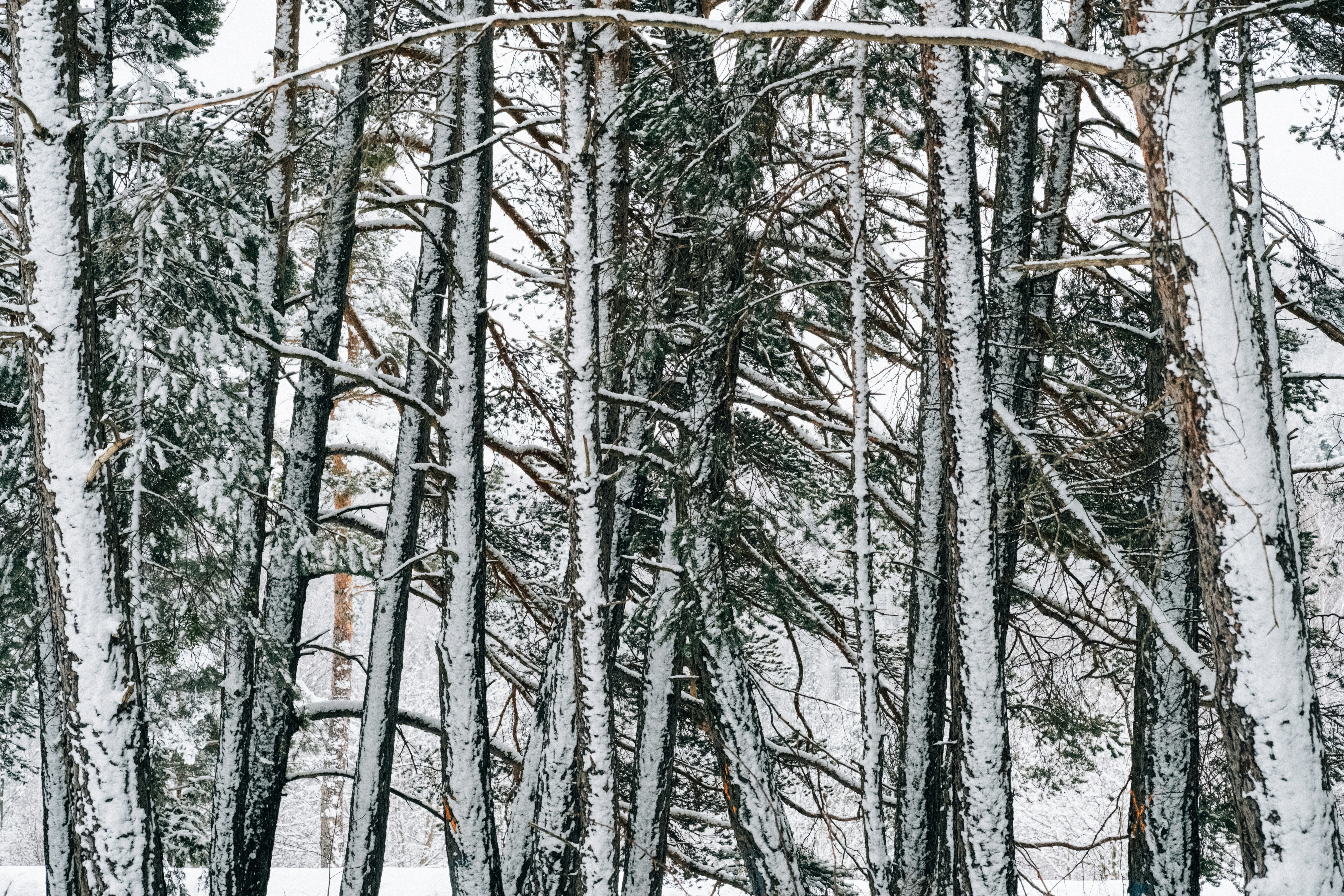 Photo by remimorel05