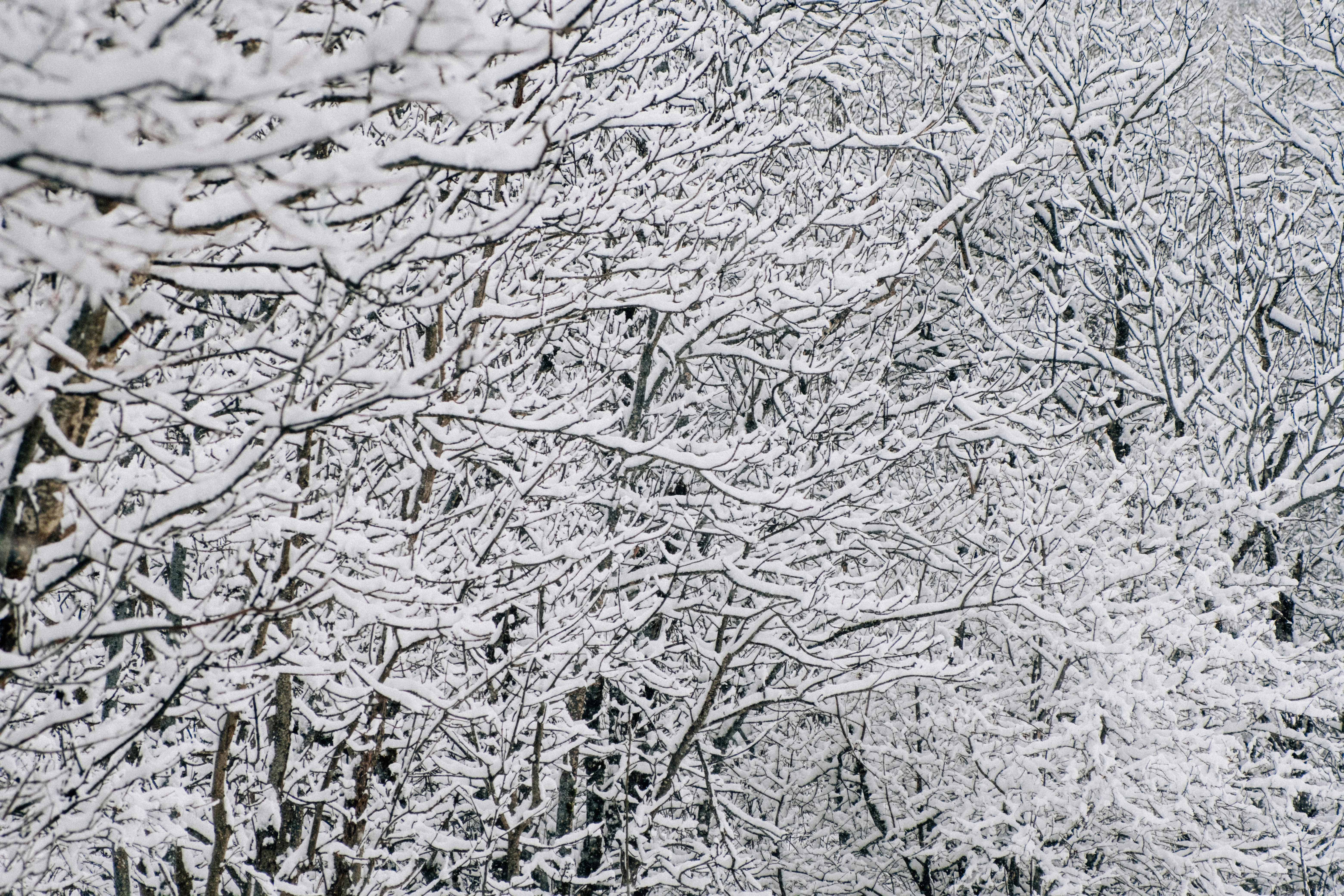 Photo by remimorel05