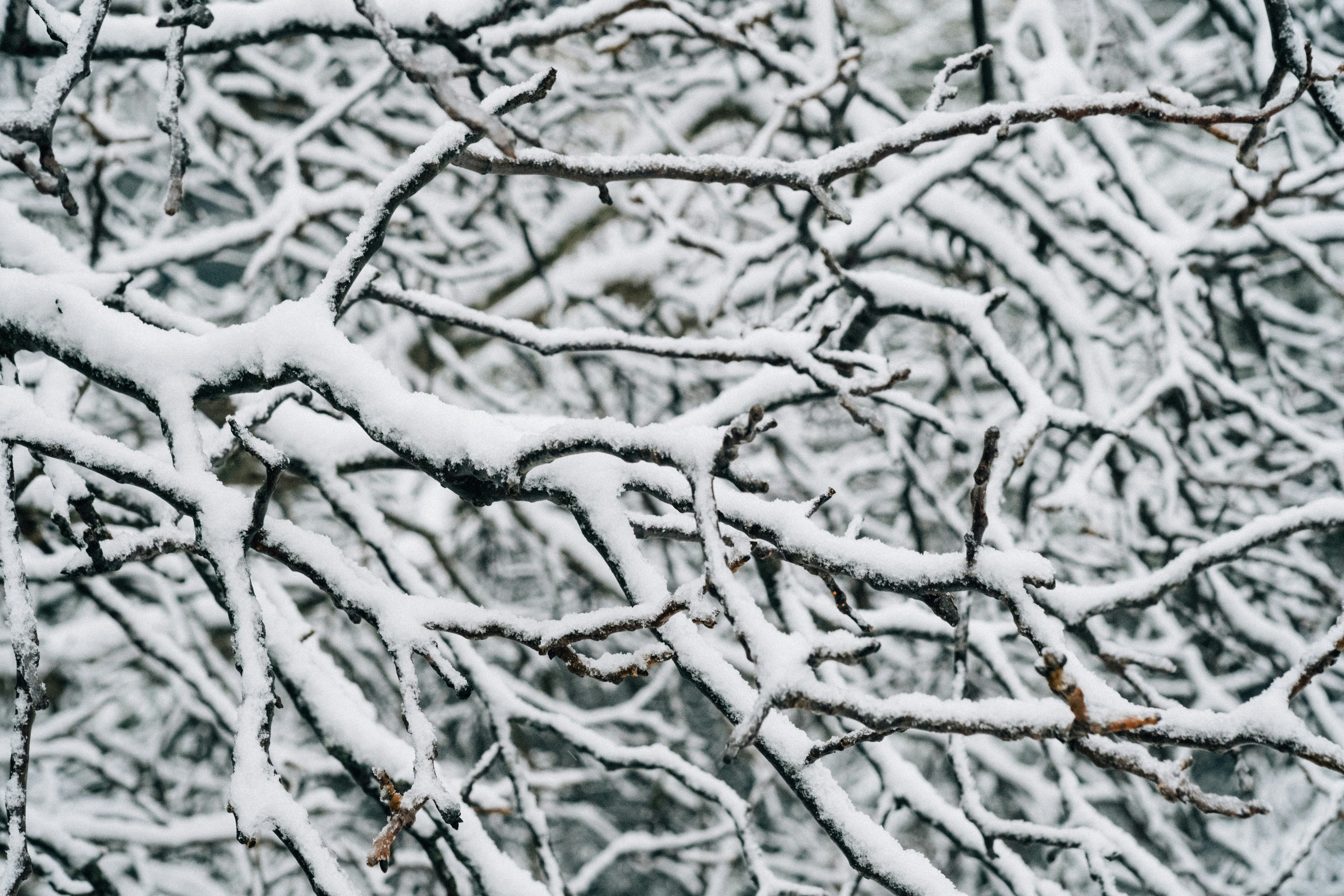 Photo by remimorel05