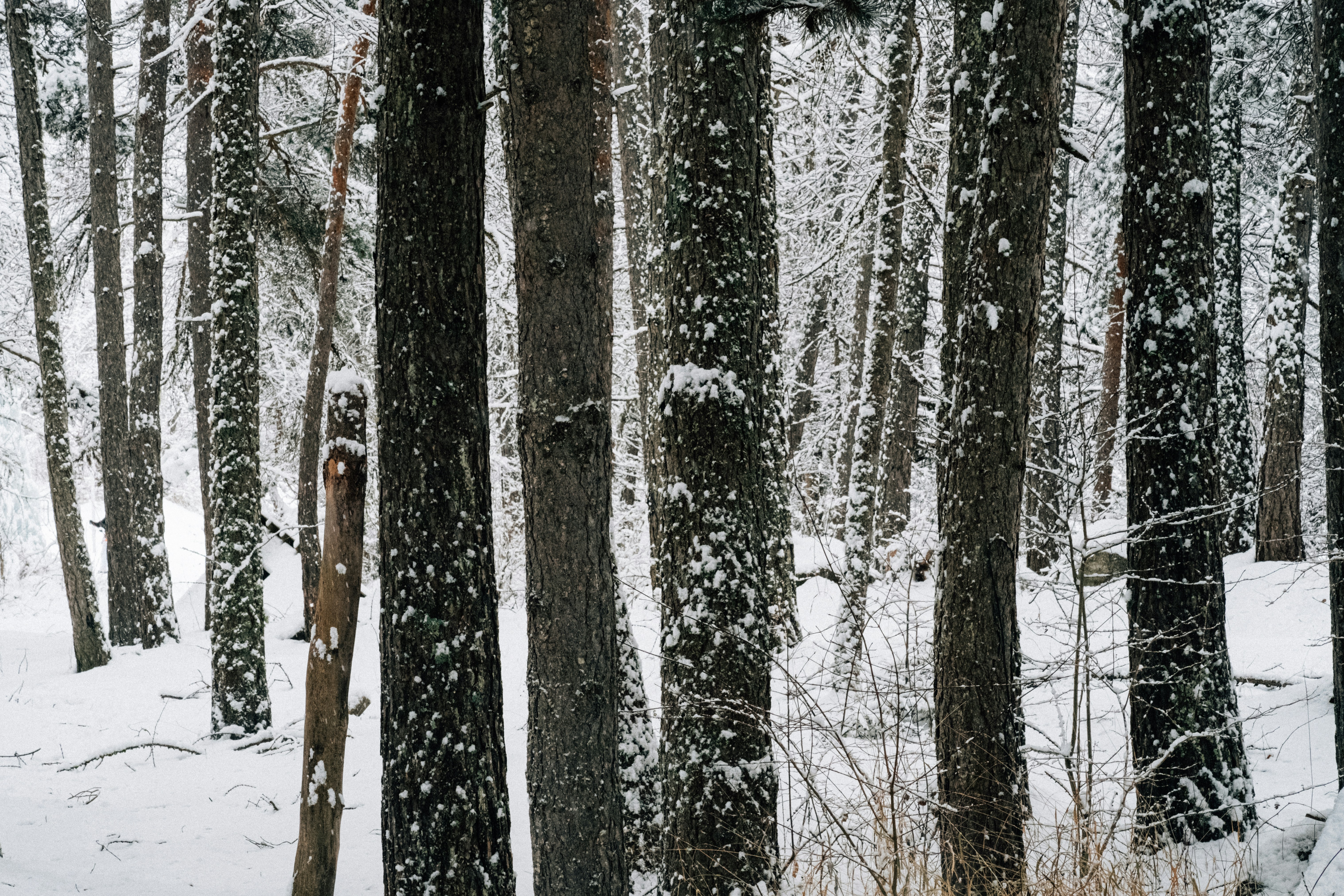 Photo by remimorel05