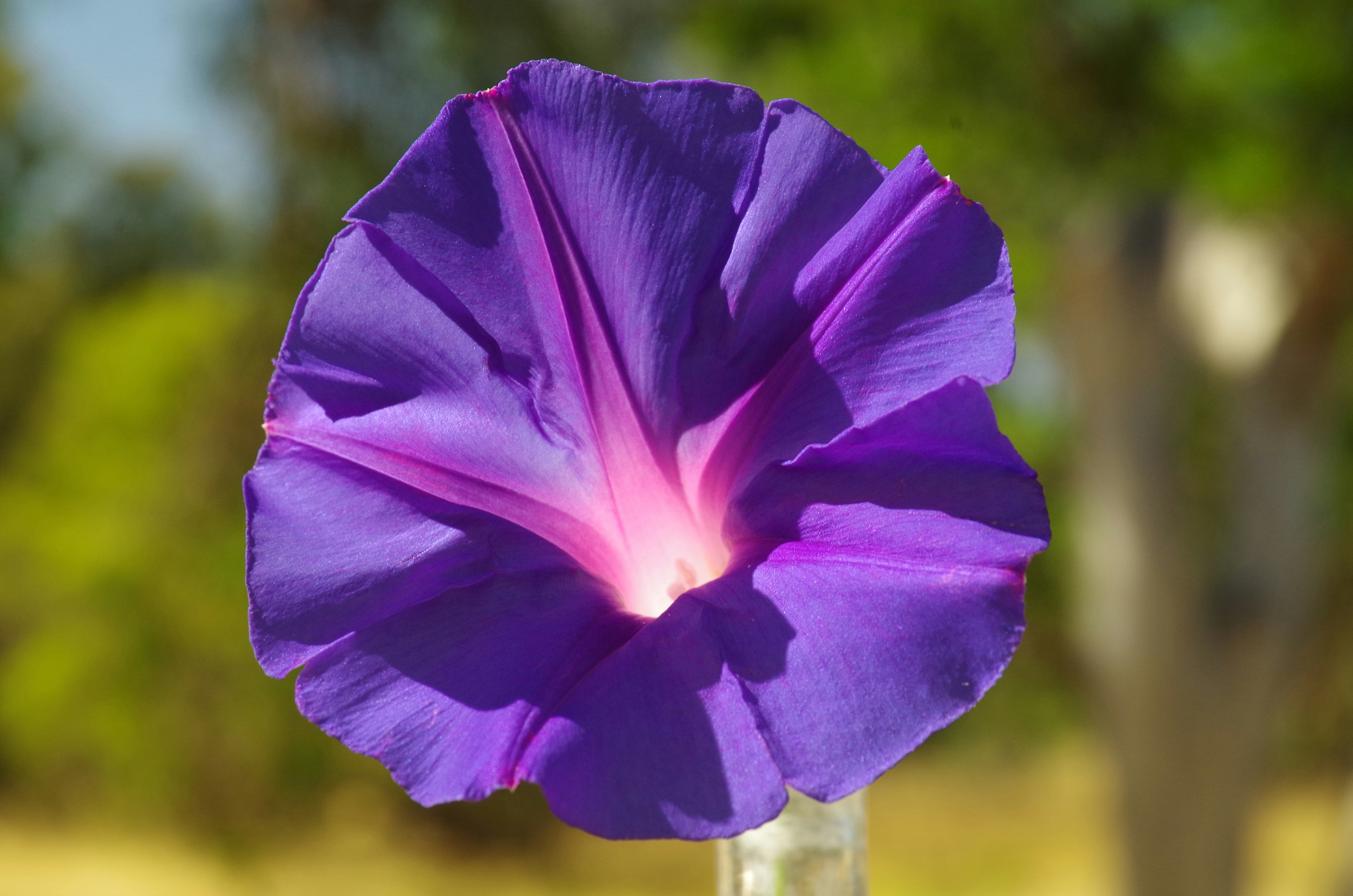 Photo by photoken123