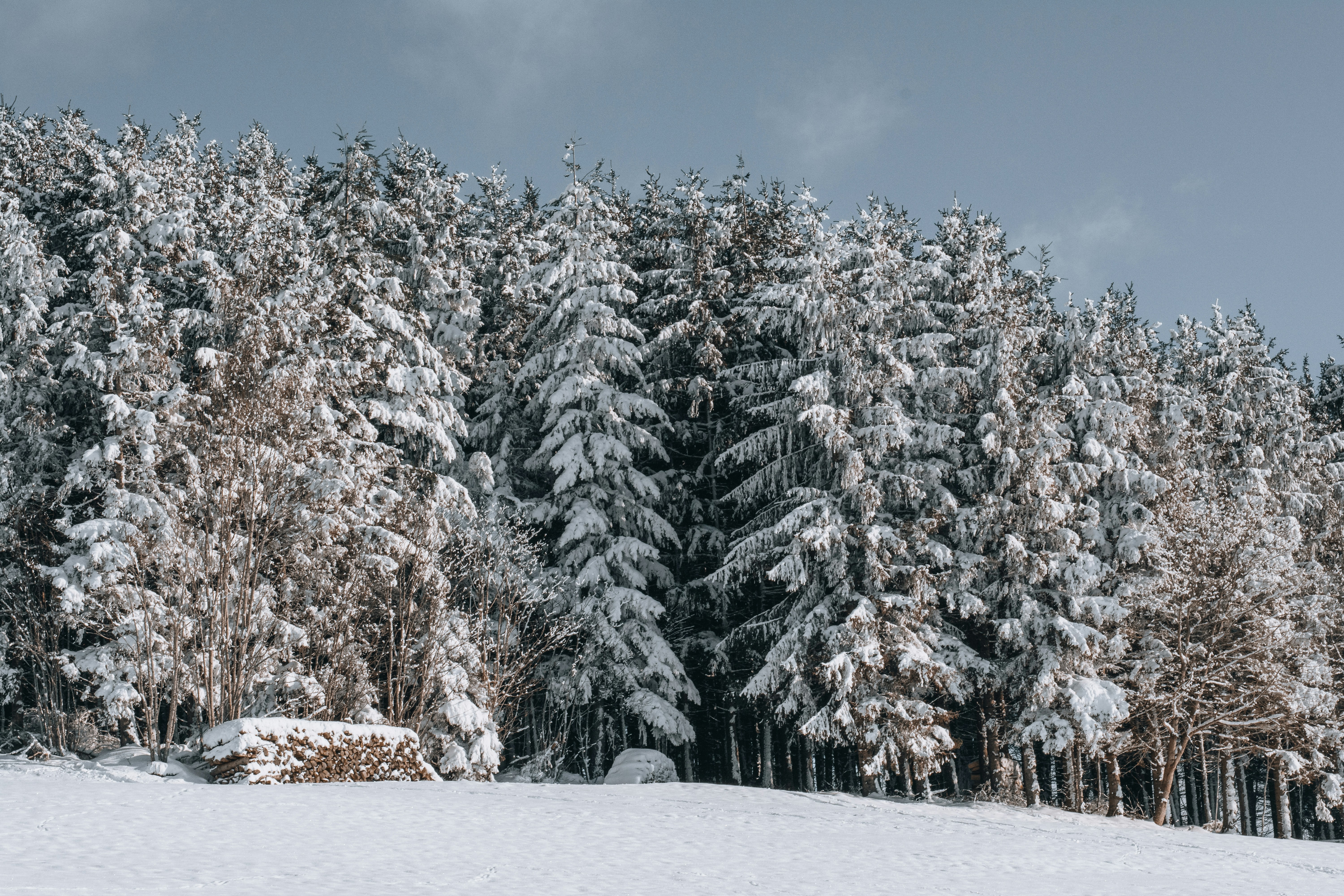 Photo by fabiankleiser