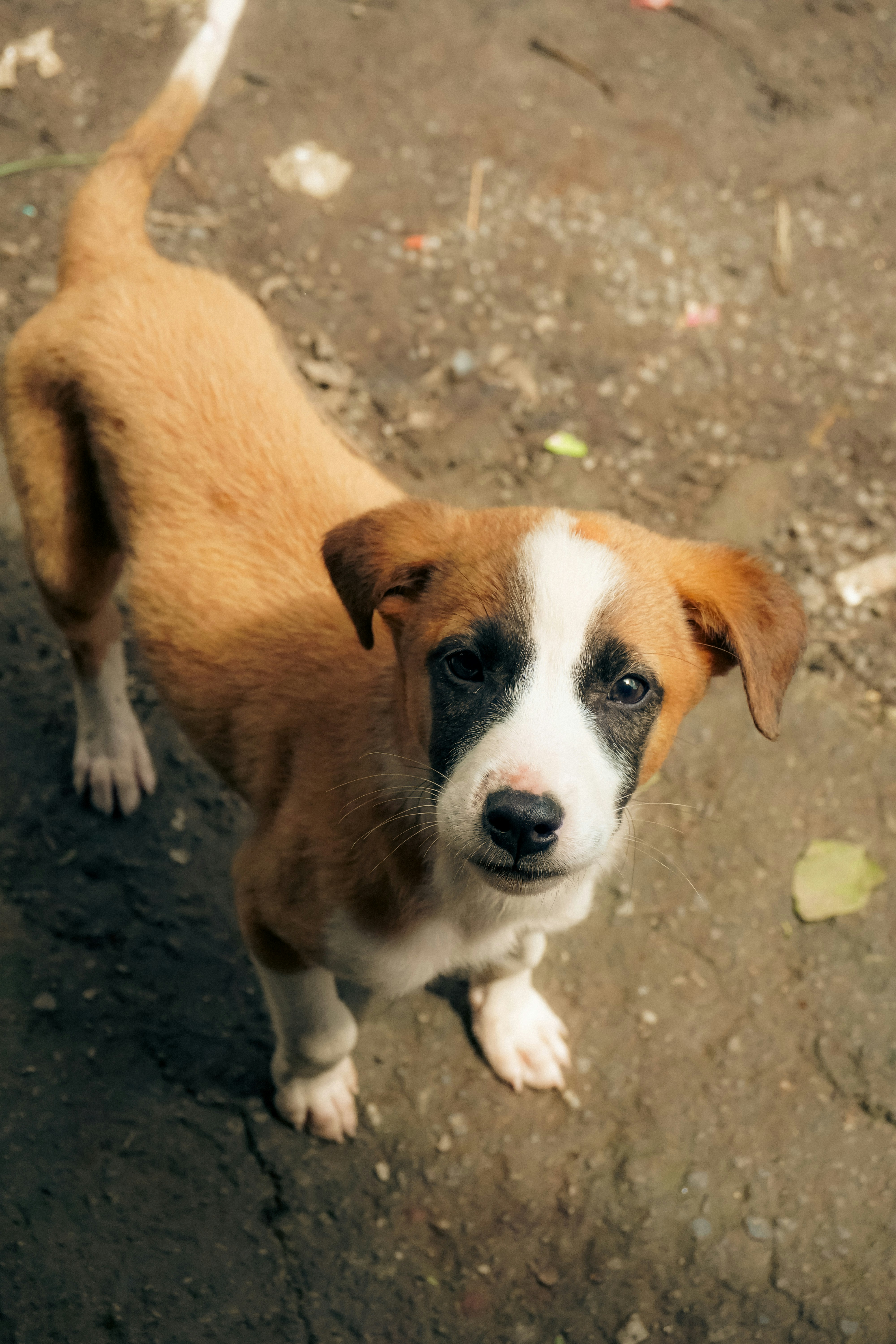 Photo by adicapture_07