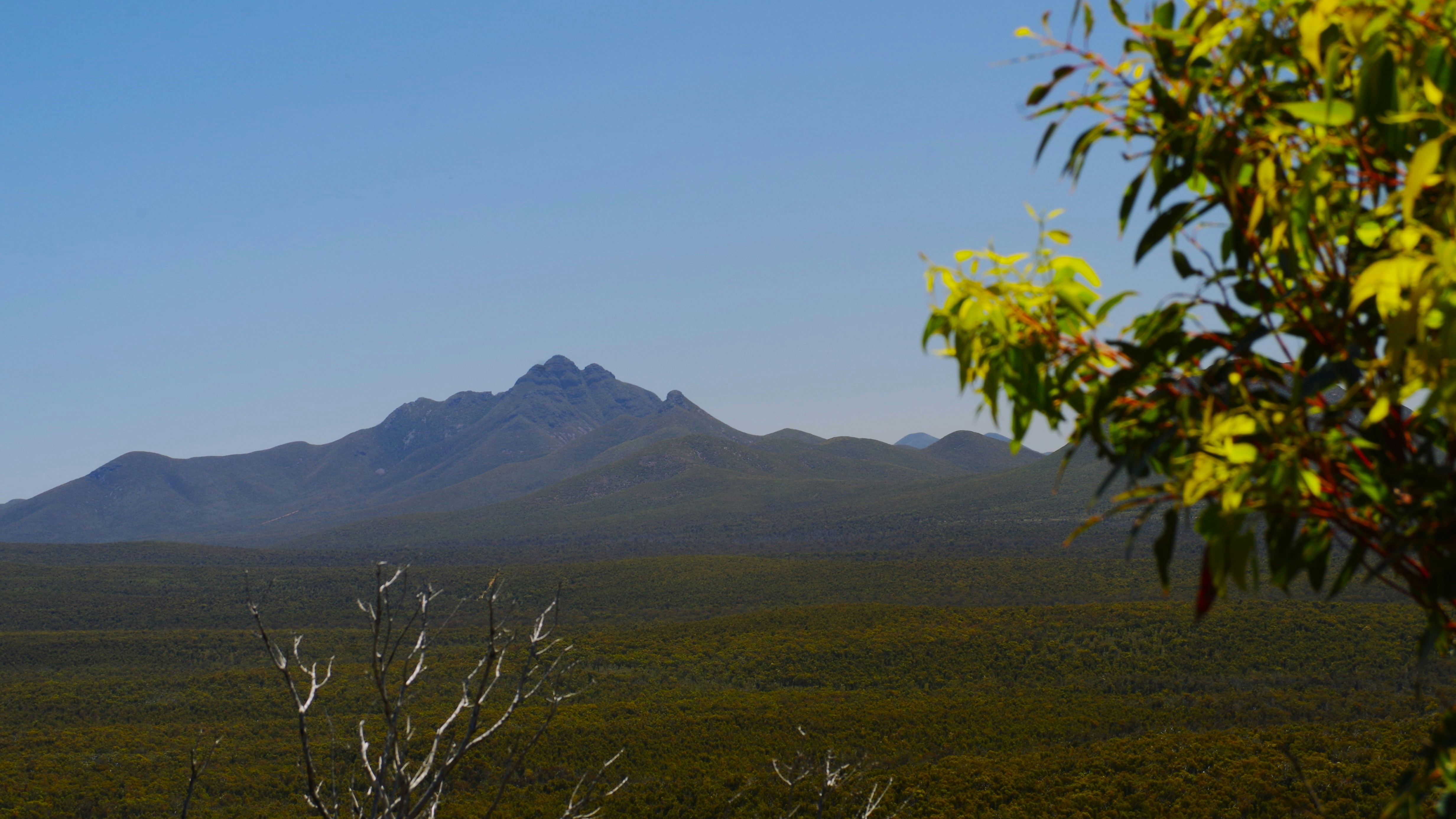 Photo by photoken123