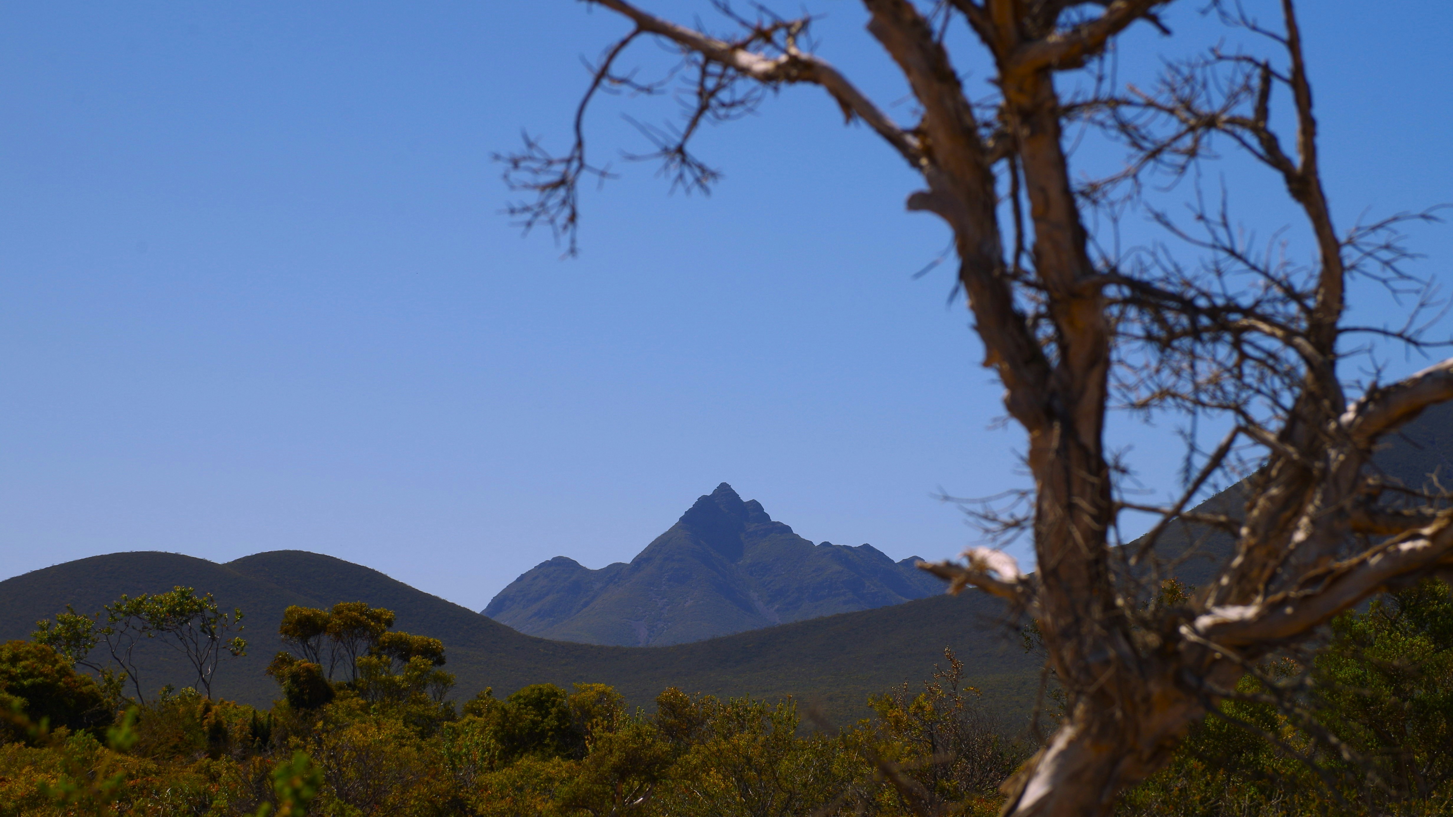 Photo by photoken123