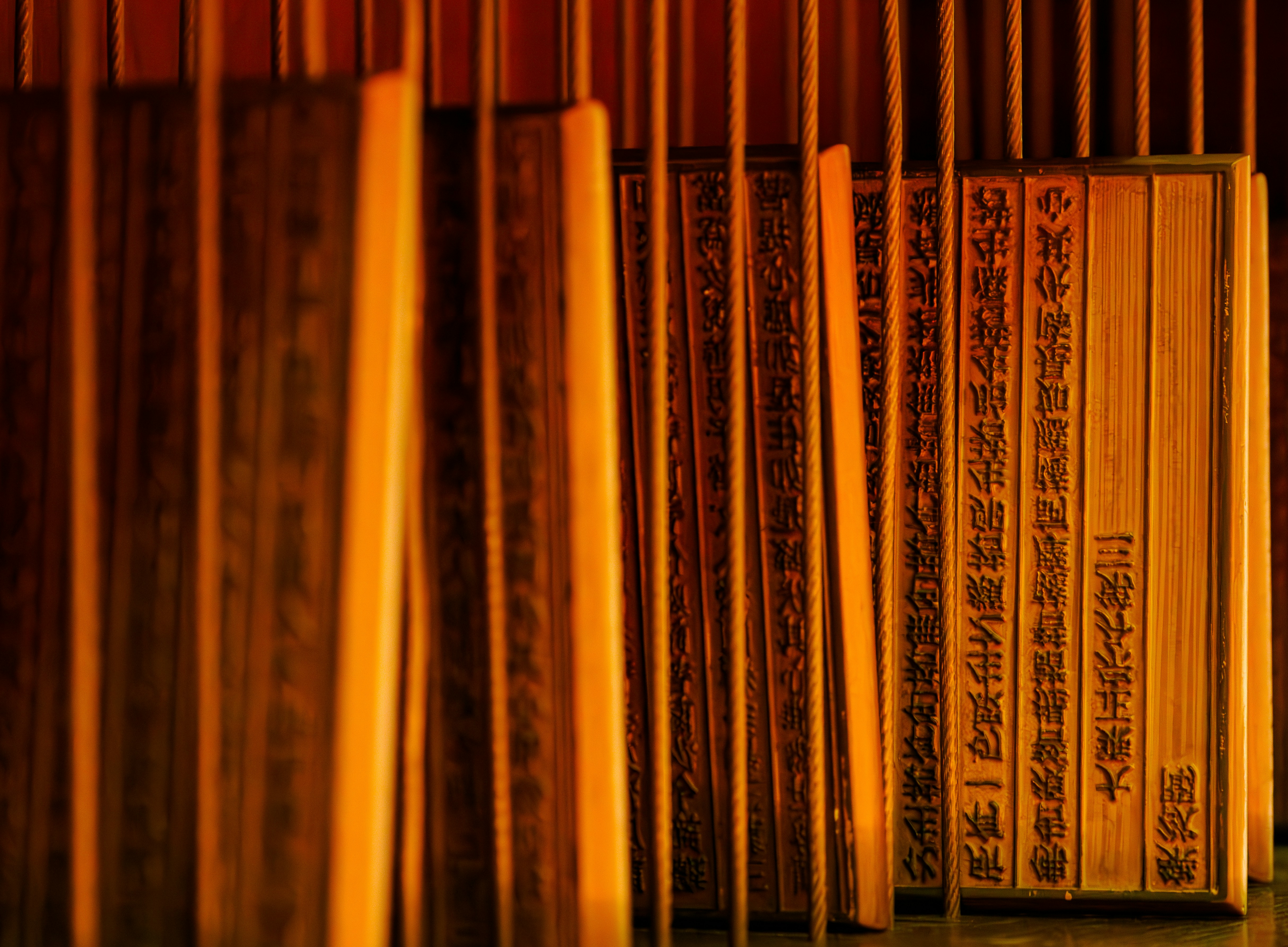 A row of books sitting next to each other