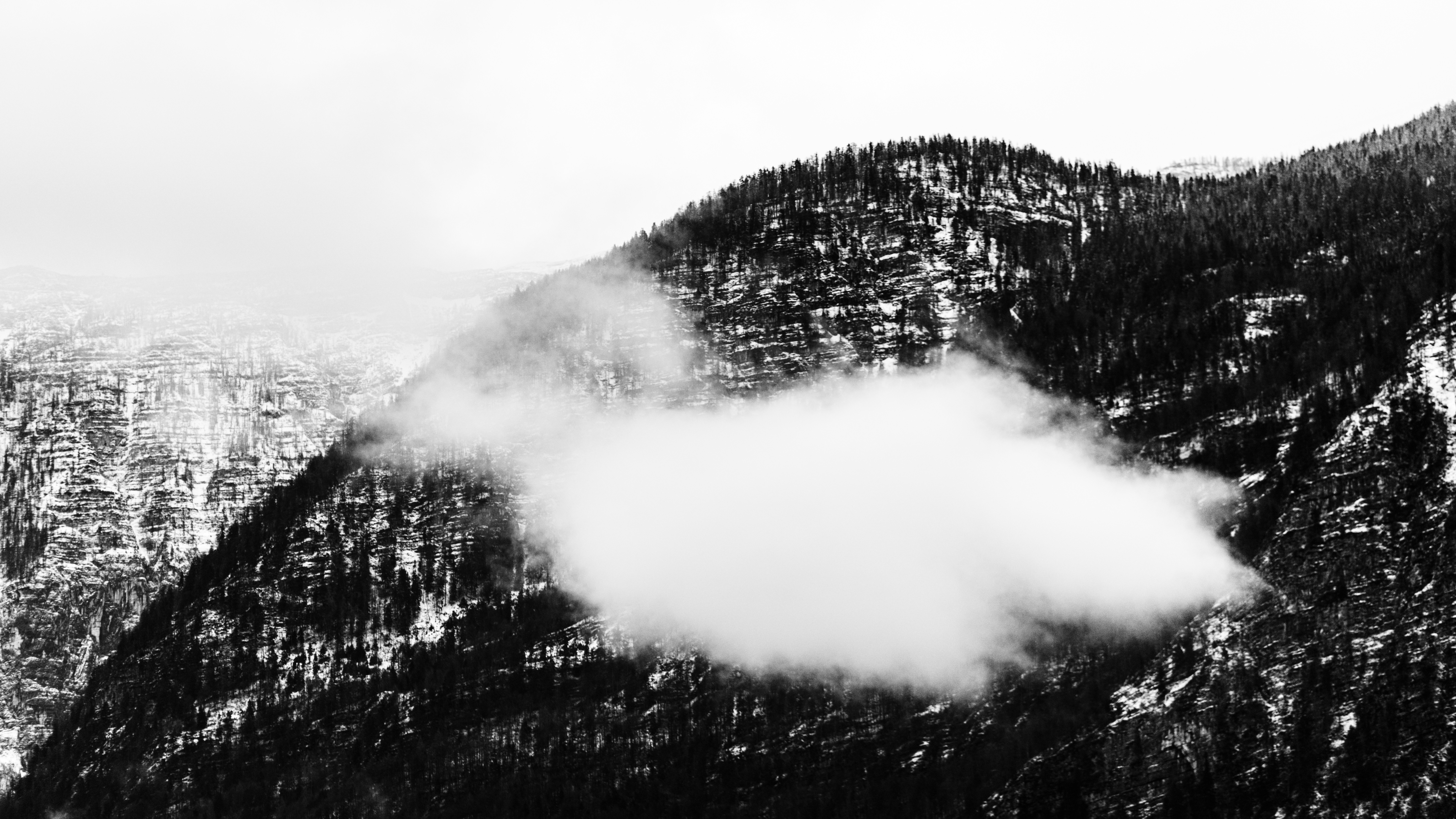 Photo by branislavrodman