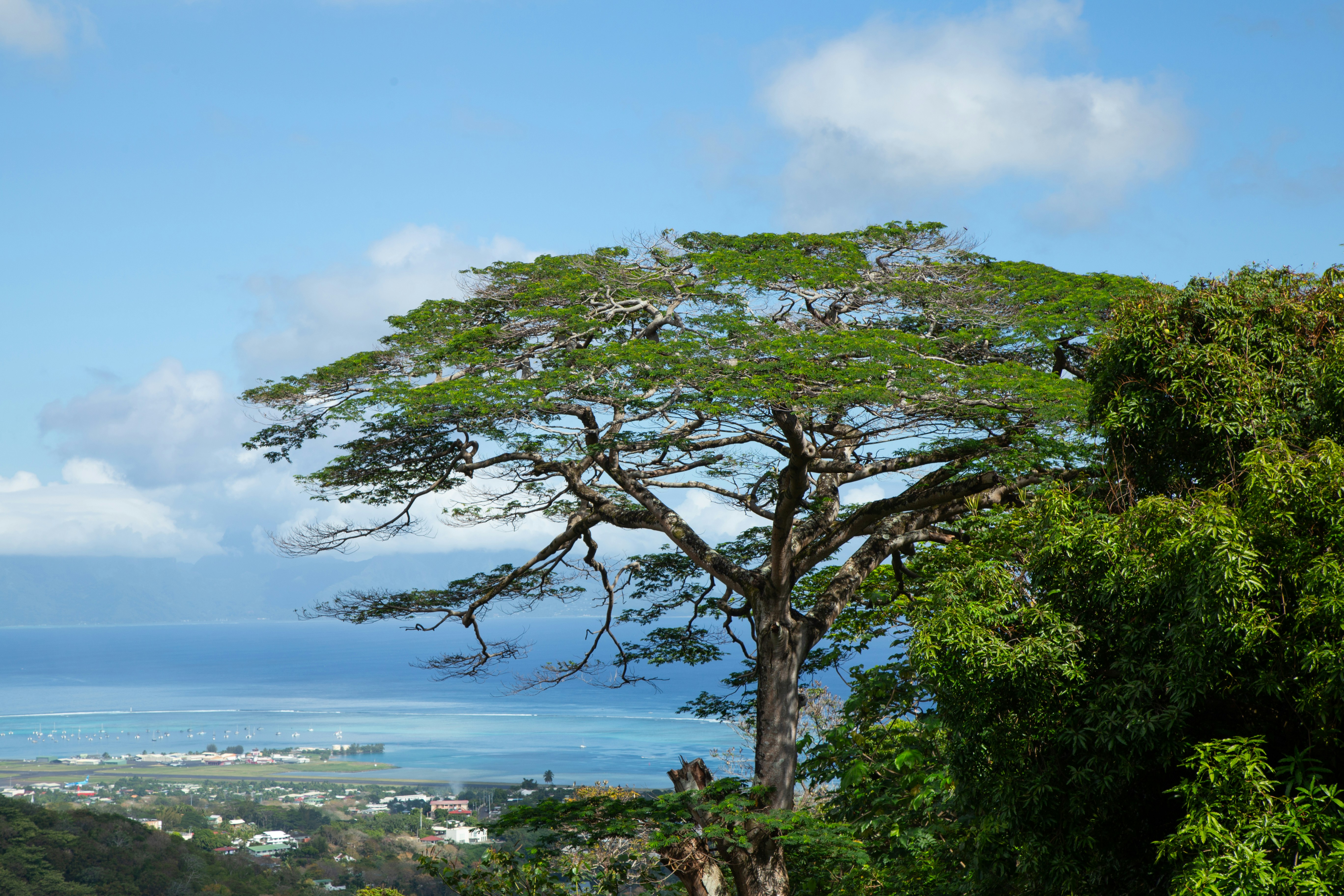 Papeete – Budgeting & Cost Expectations