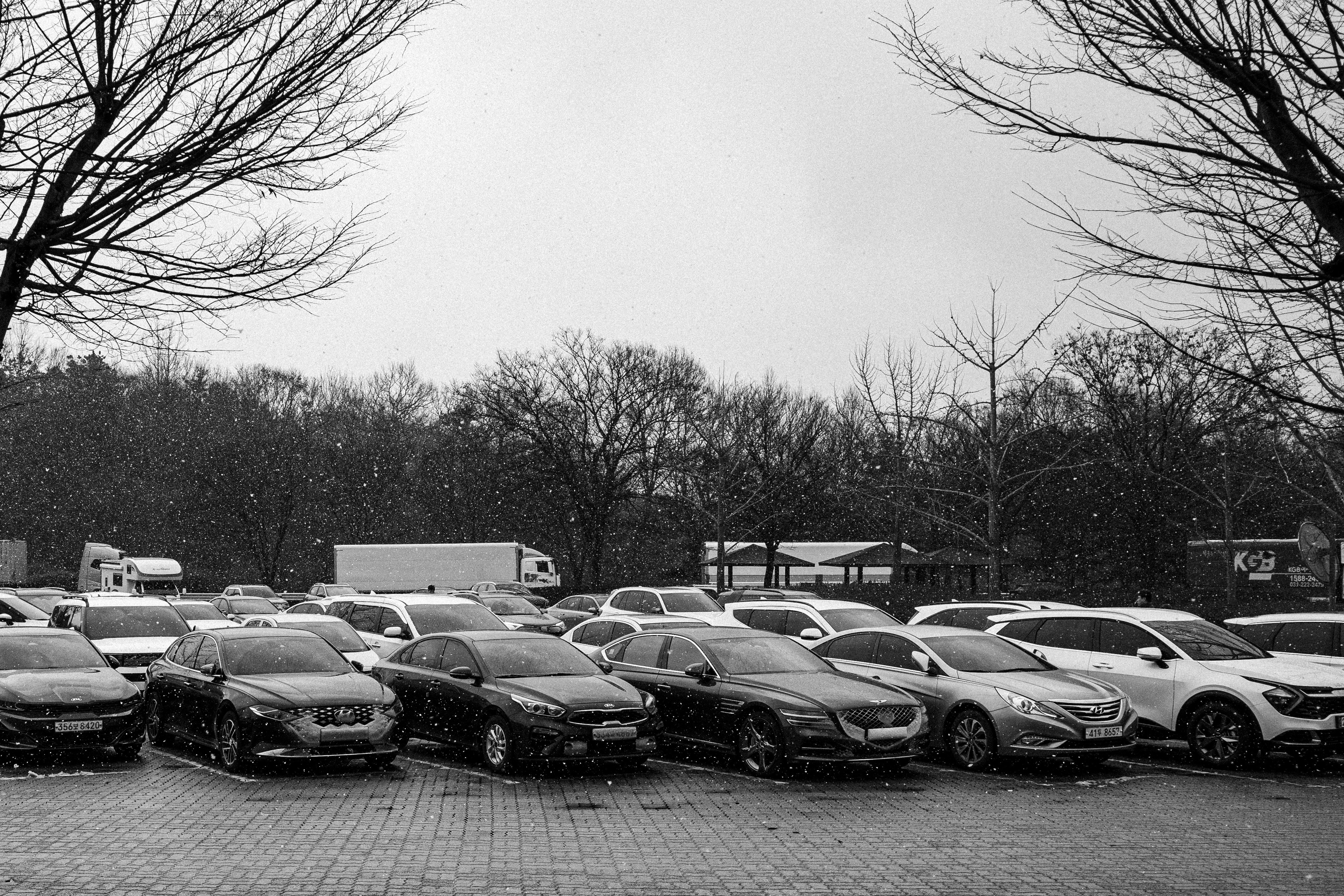 Row of used electric cars at a dealership, ready for sale