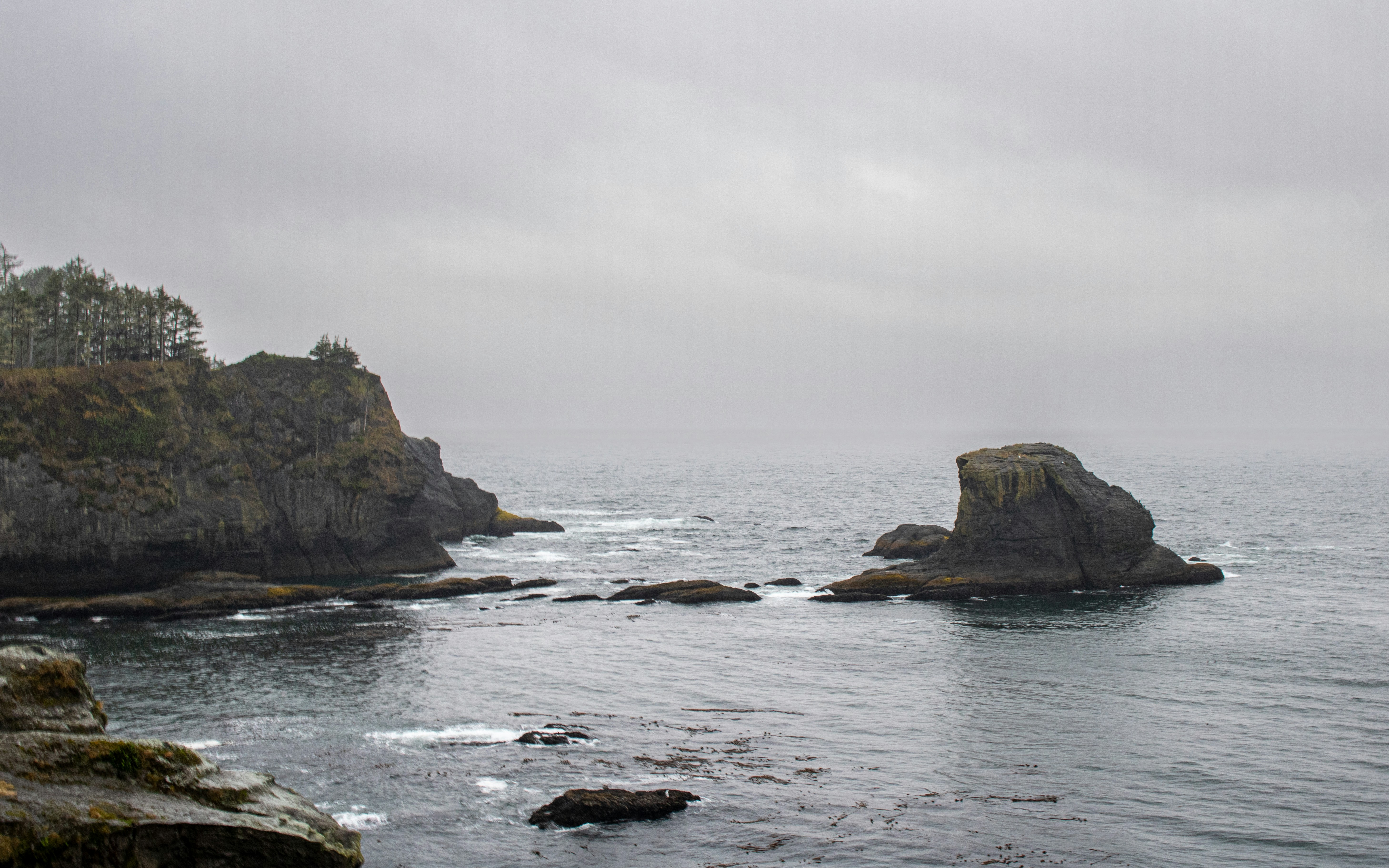 Photo by zoshuacolah