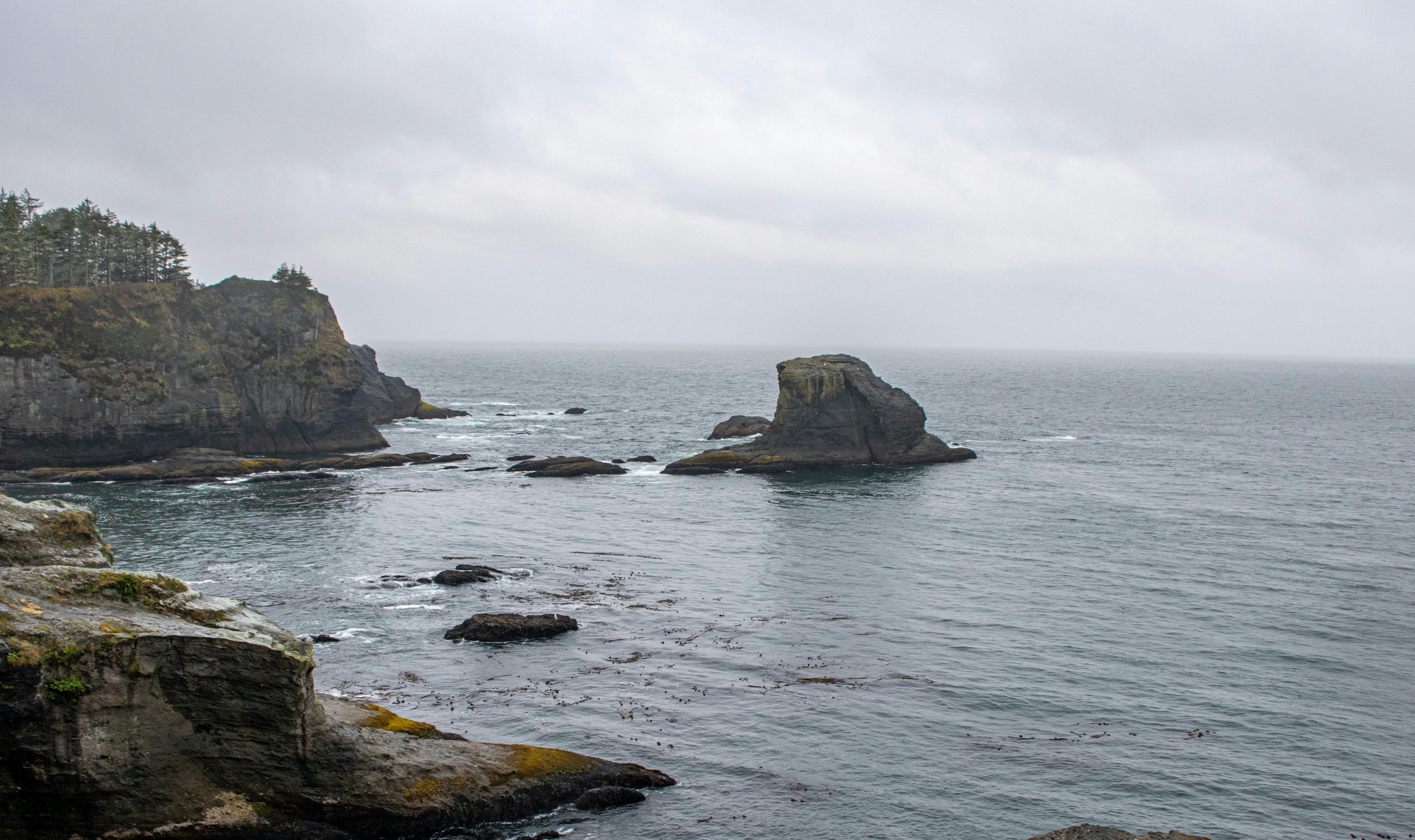 Photo by zoshuacolah