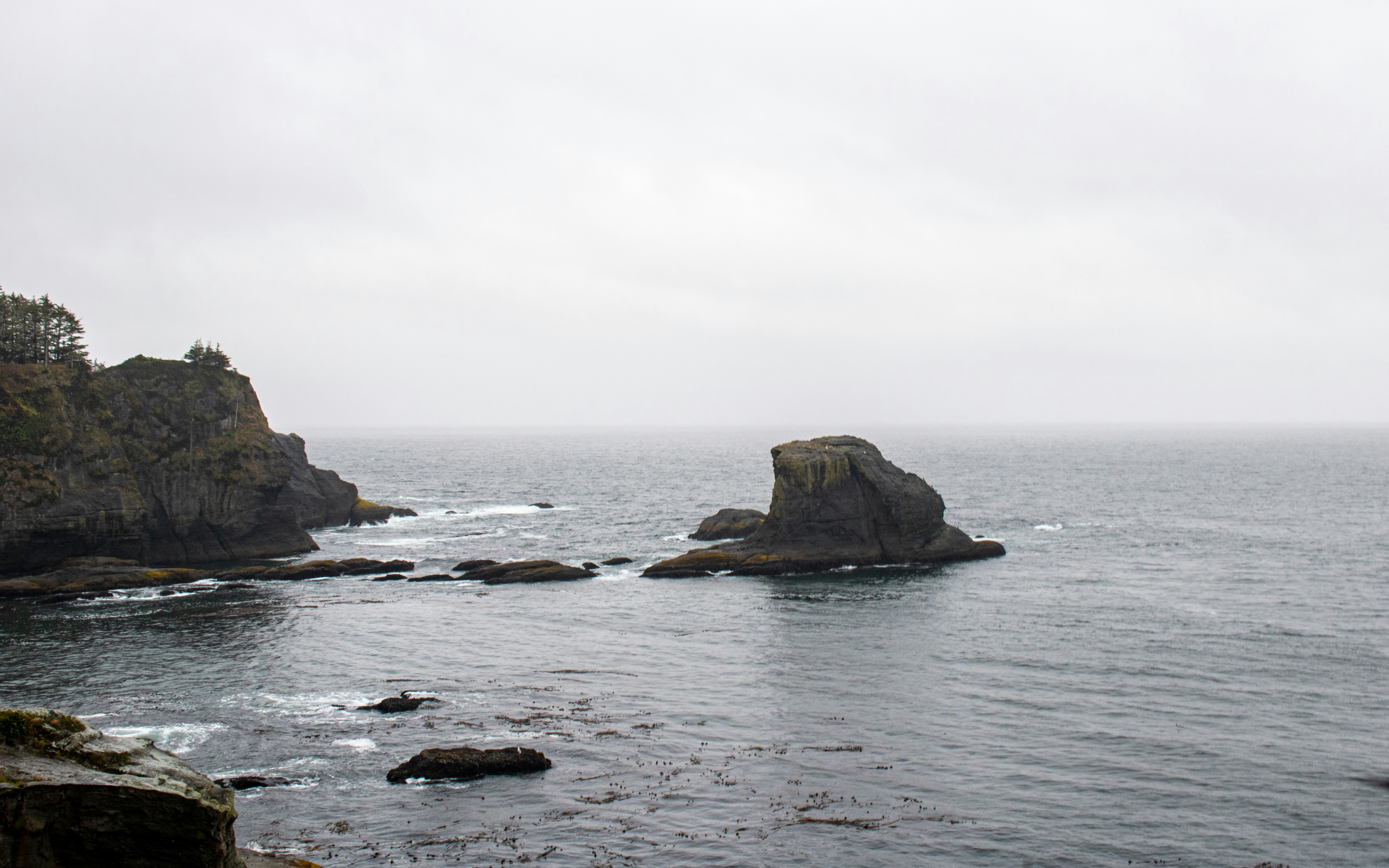 Photo by zoshuacolah